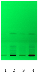 Molecules 26 07705 i005