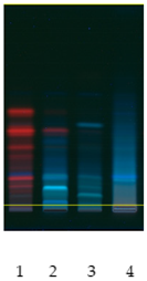 Molecules 26 07705 i006