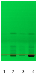 Molecules 26 07705 i007