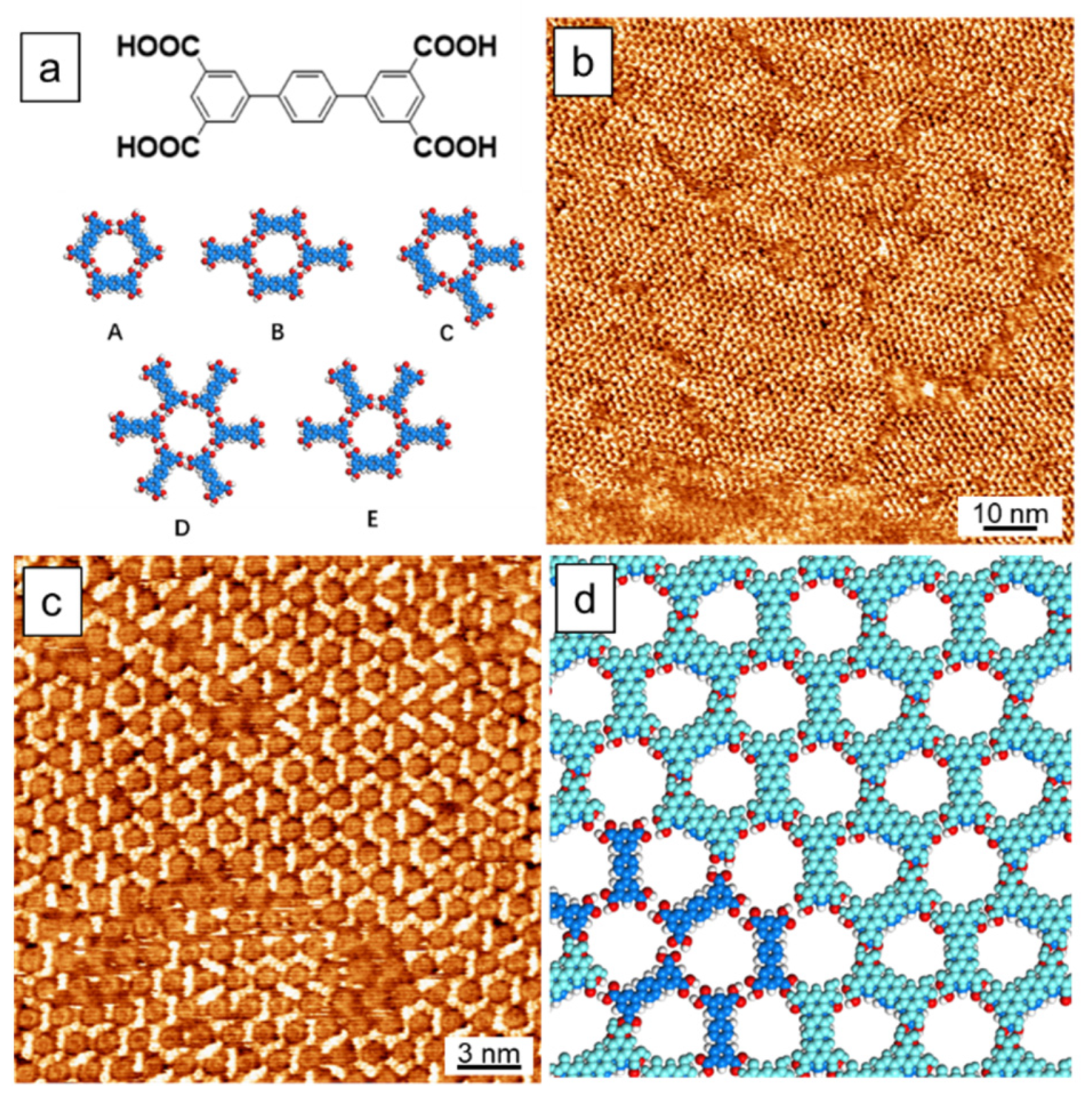 Molecules 26 07707 g001