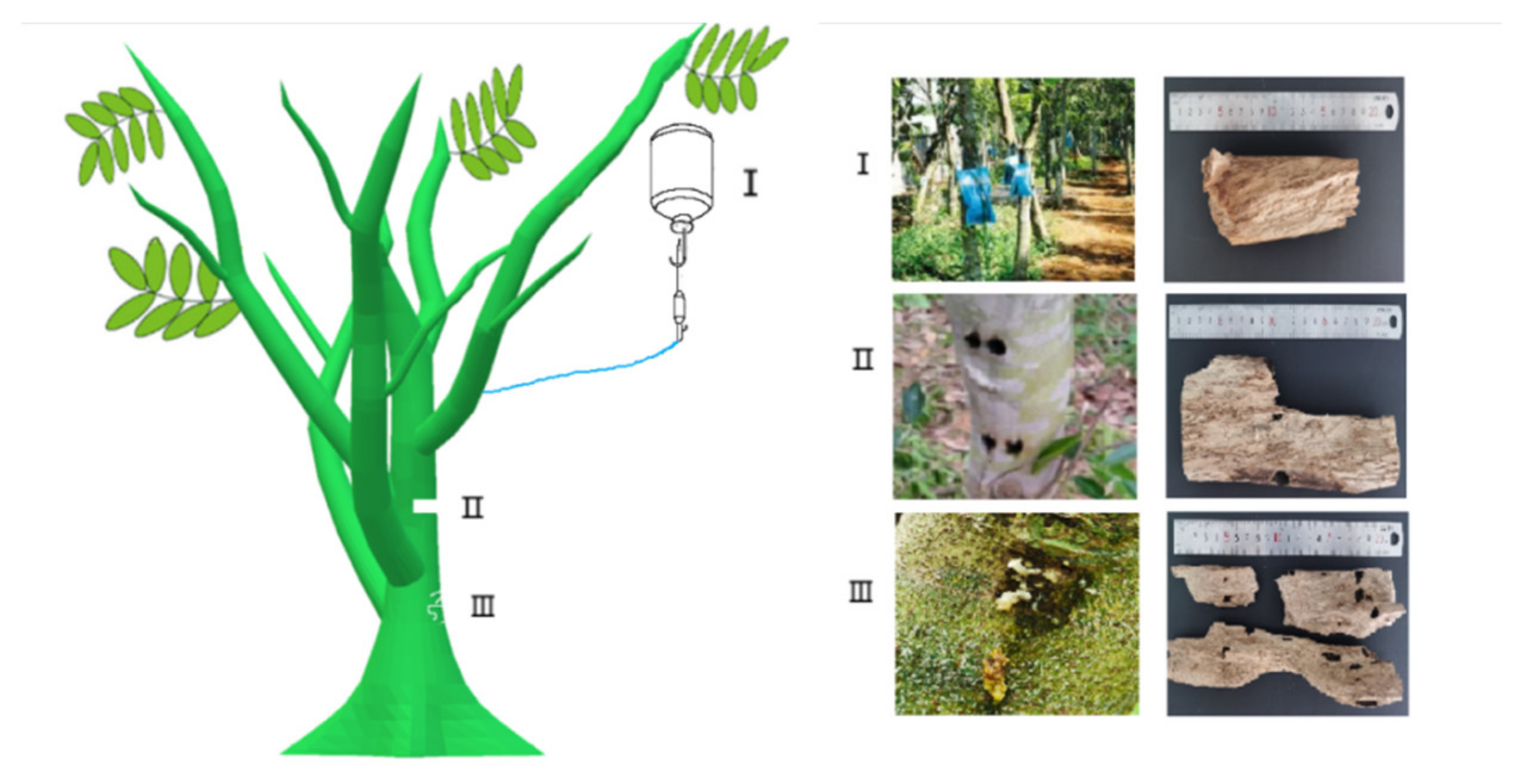 Molecules 26 07708 g001