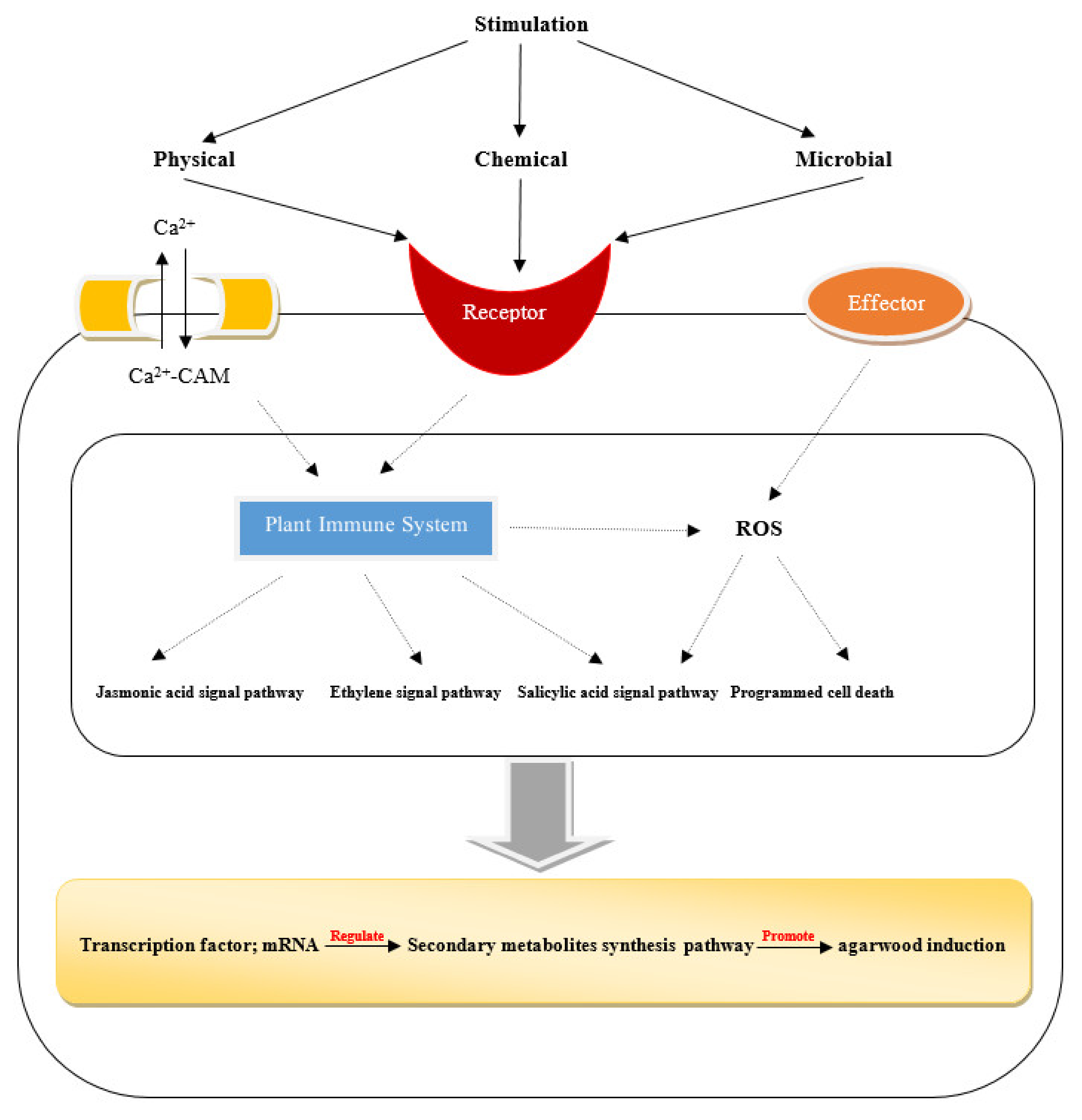 Molecules 26 07708 g003