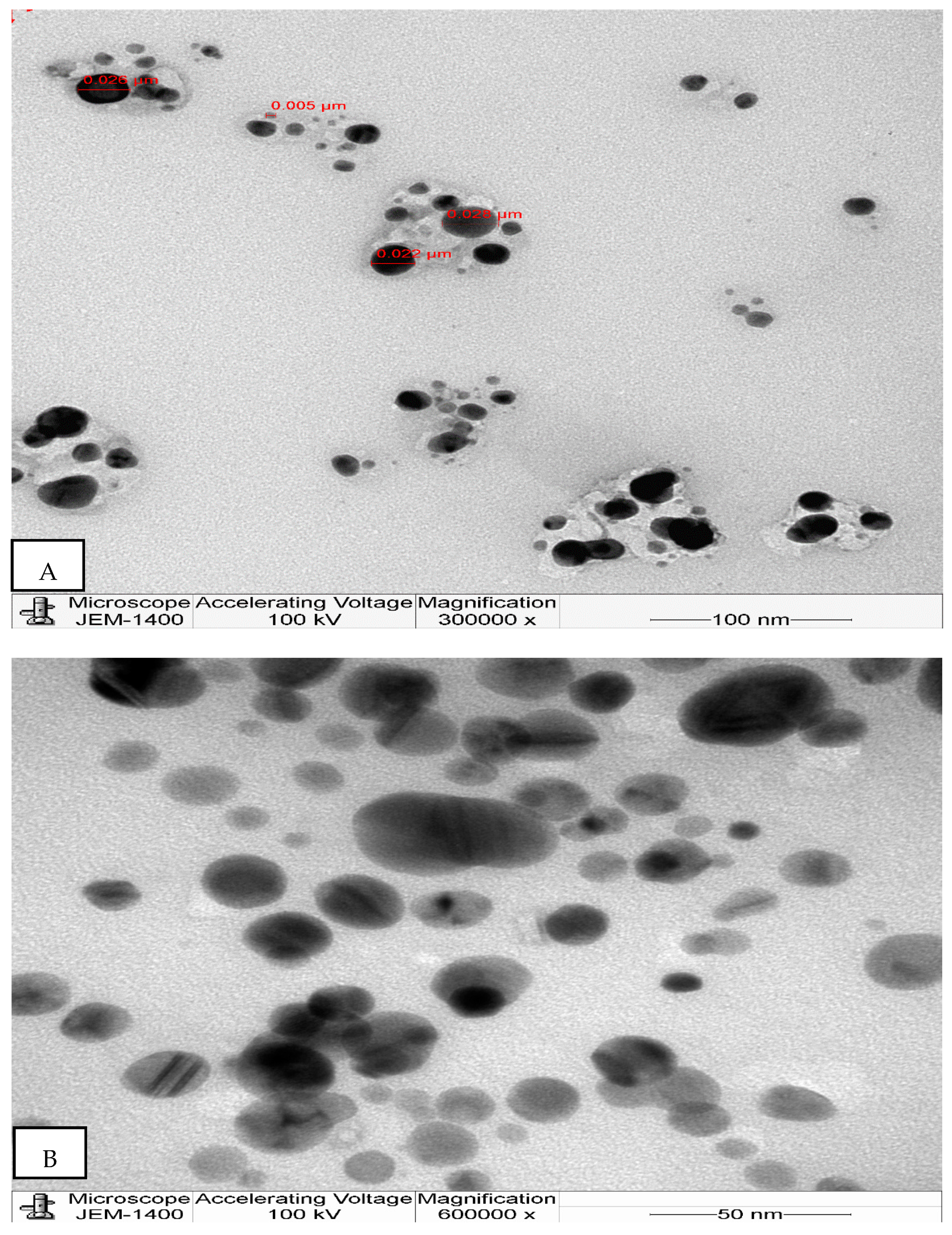 Molecules 26 07709 g004