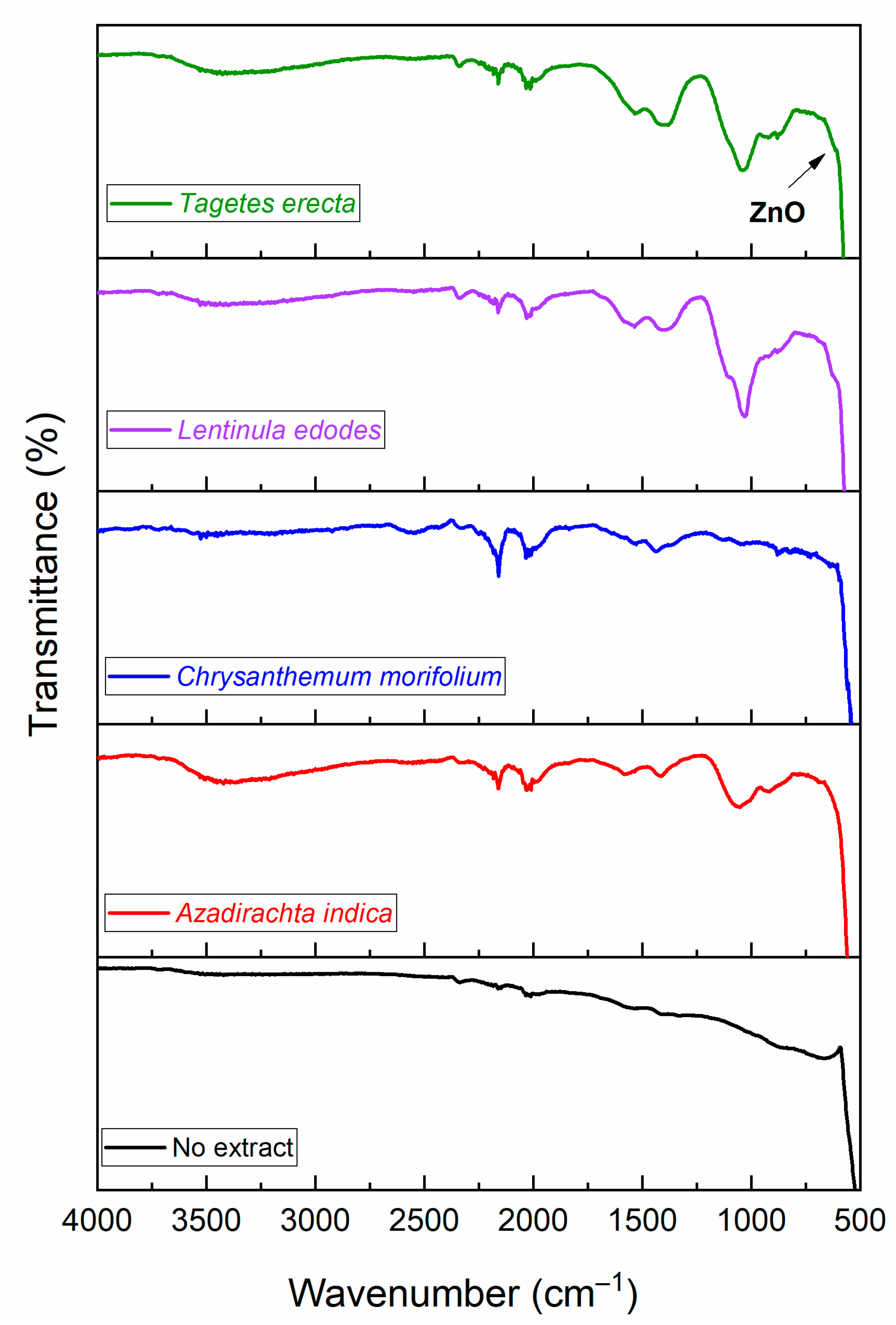 Molecules 27 00006 g002