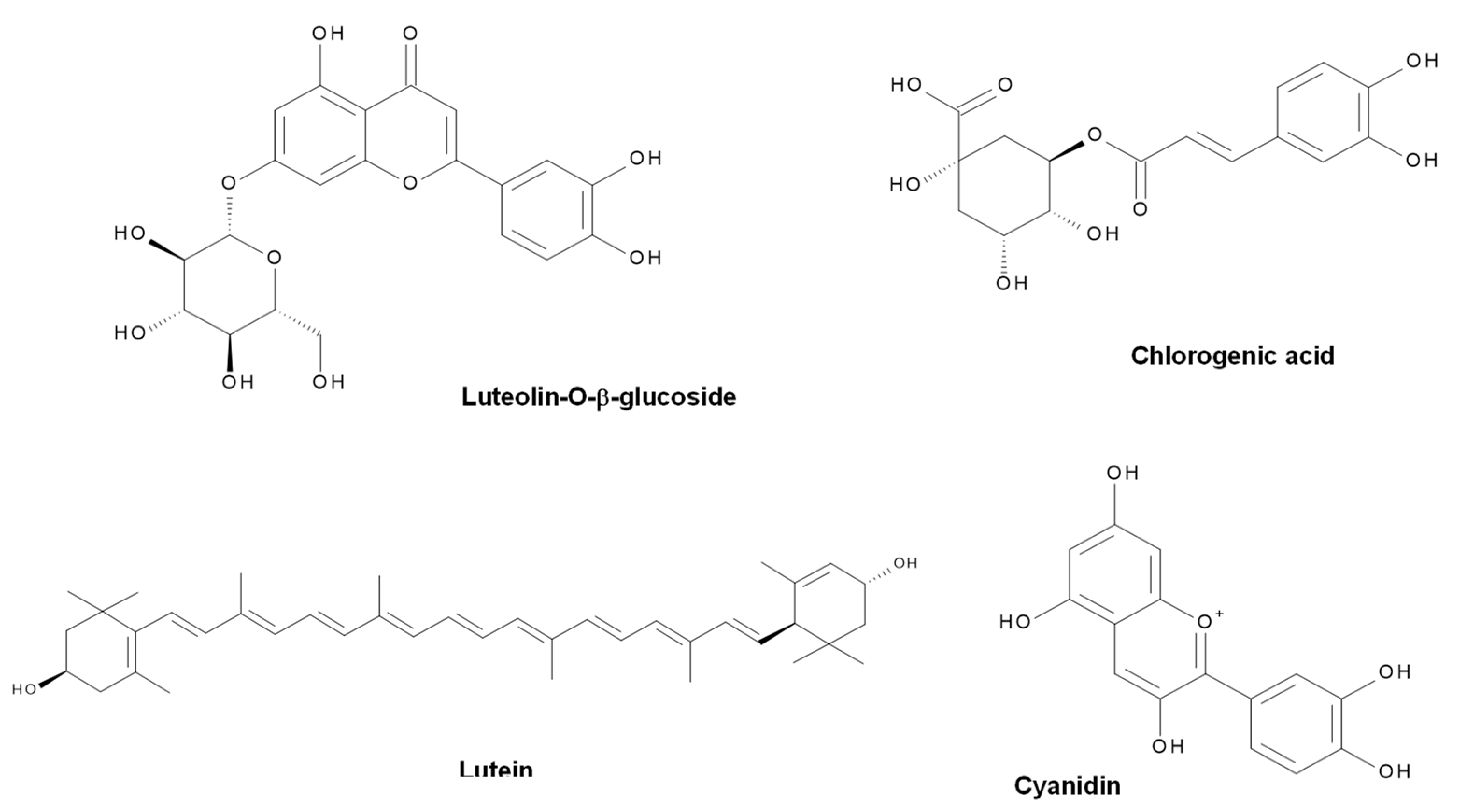 Molecules 27 00006 g013