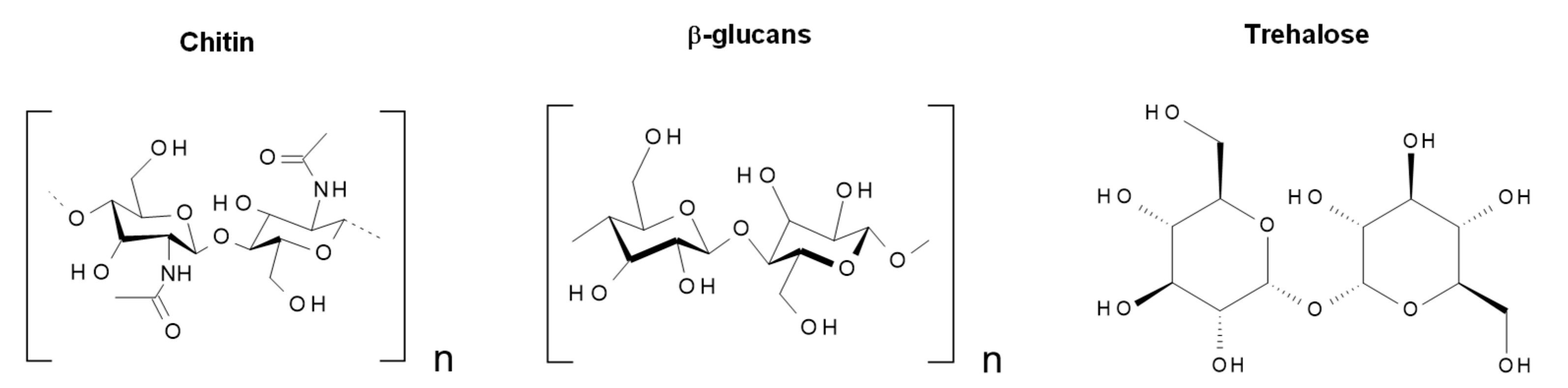 Molecules 27 00006 g014