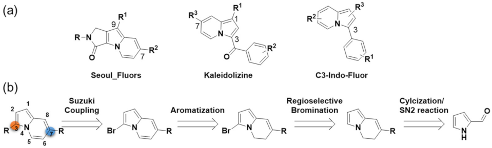Molecules 27 00012 g001
