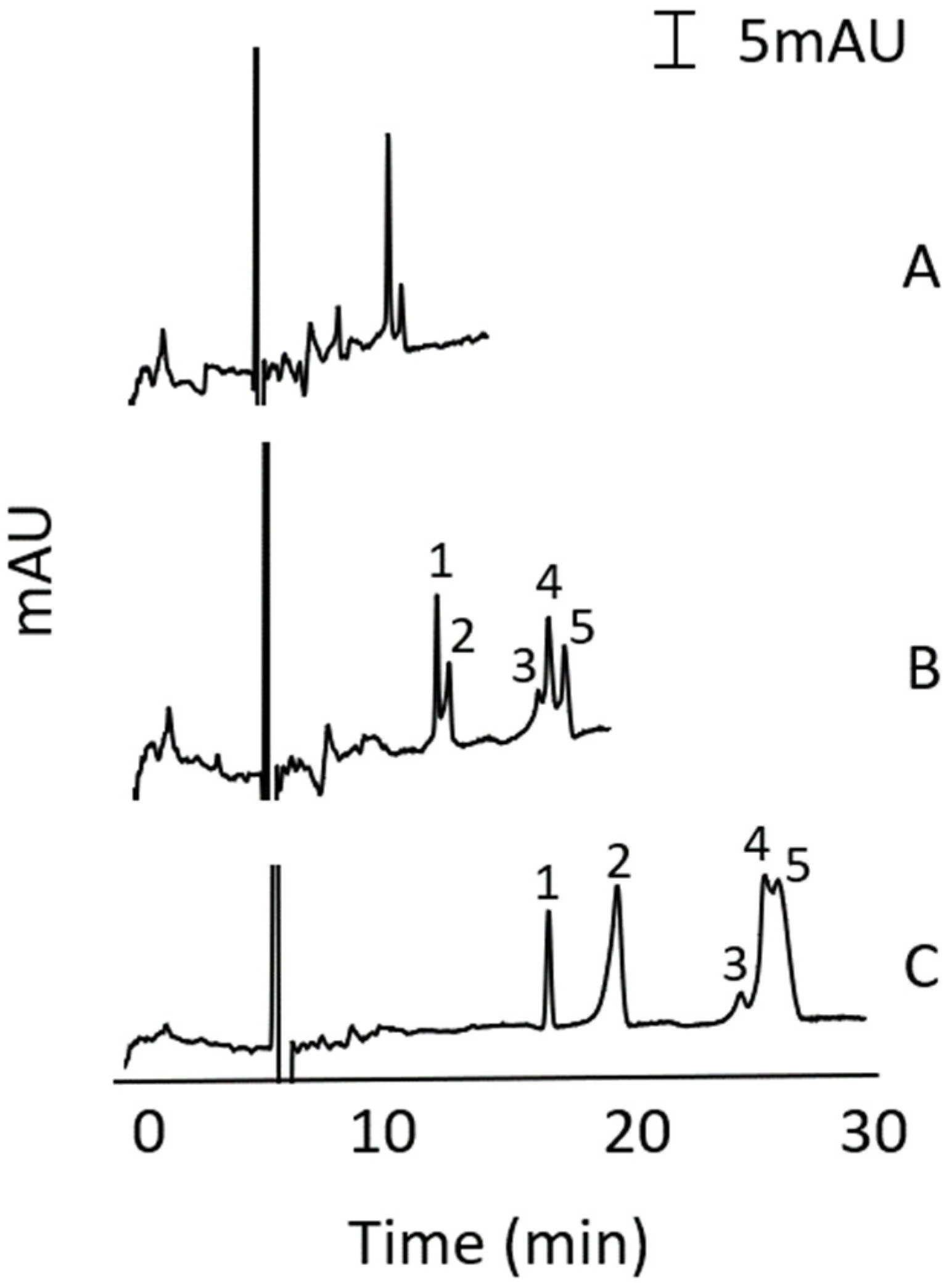 Molecules 27 00013 g002