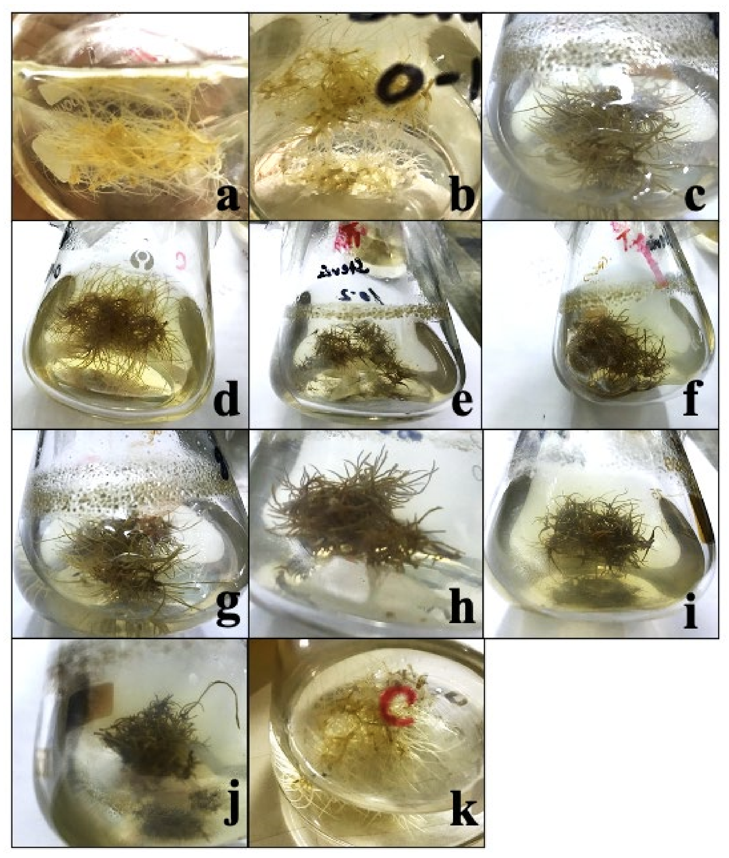 Molecules 27 00014 g001 Molecules 27 00014 g001