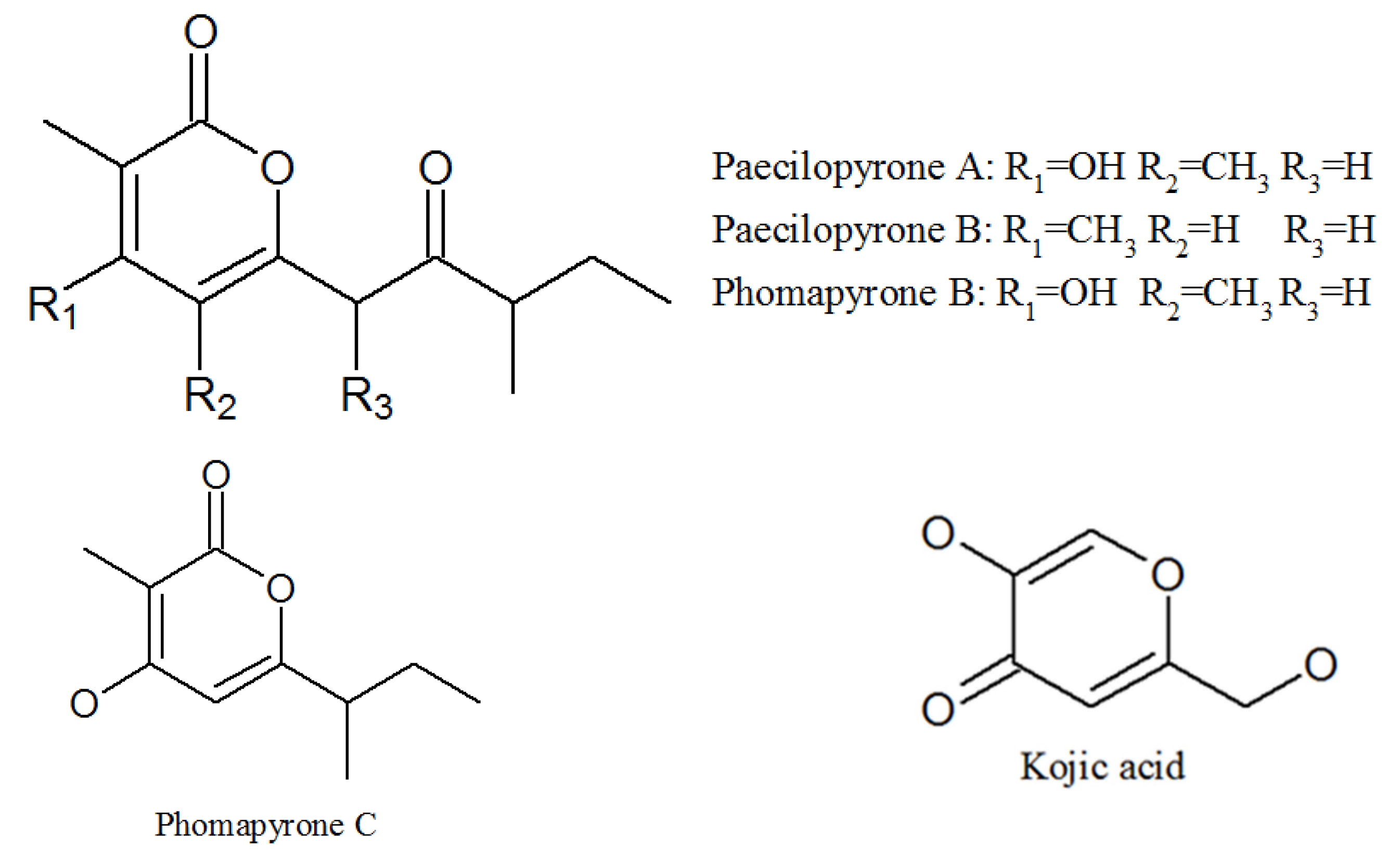 Molecules 27 00018 g005