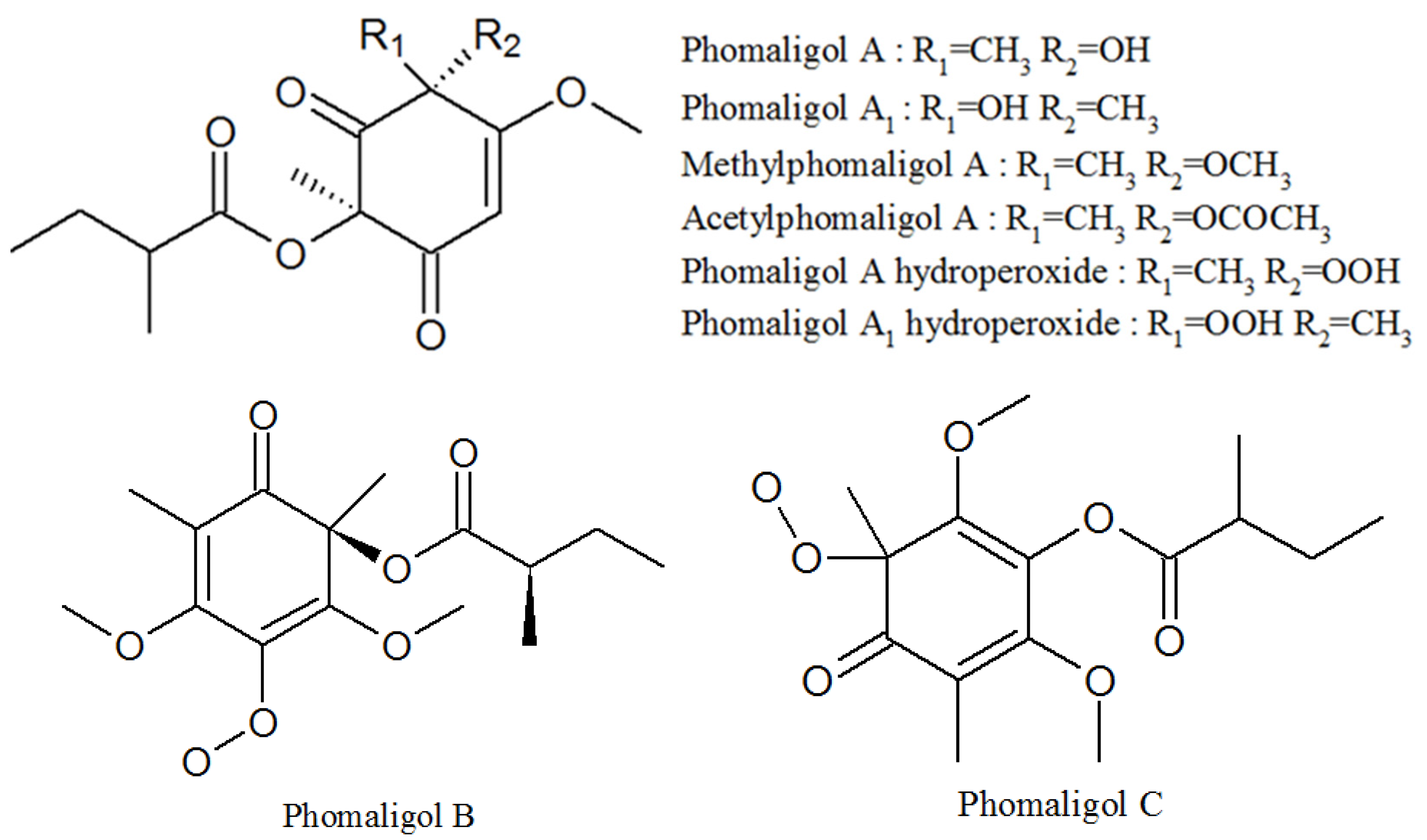 Molecules 27 00018 g006