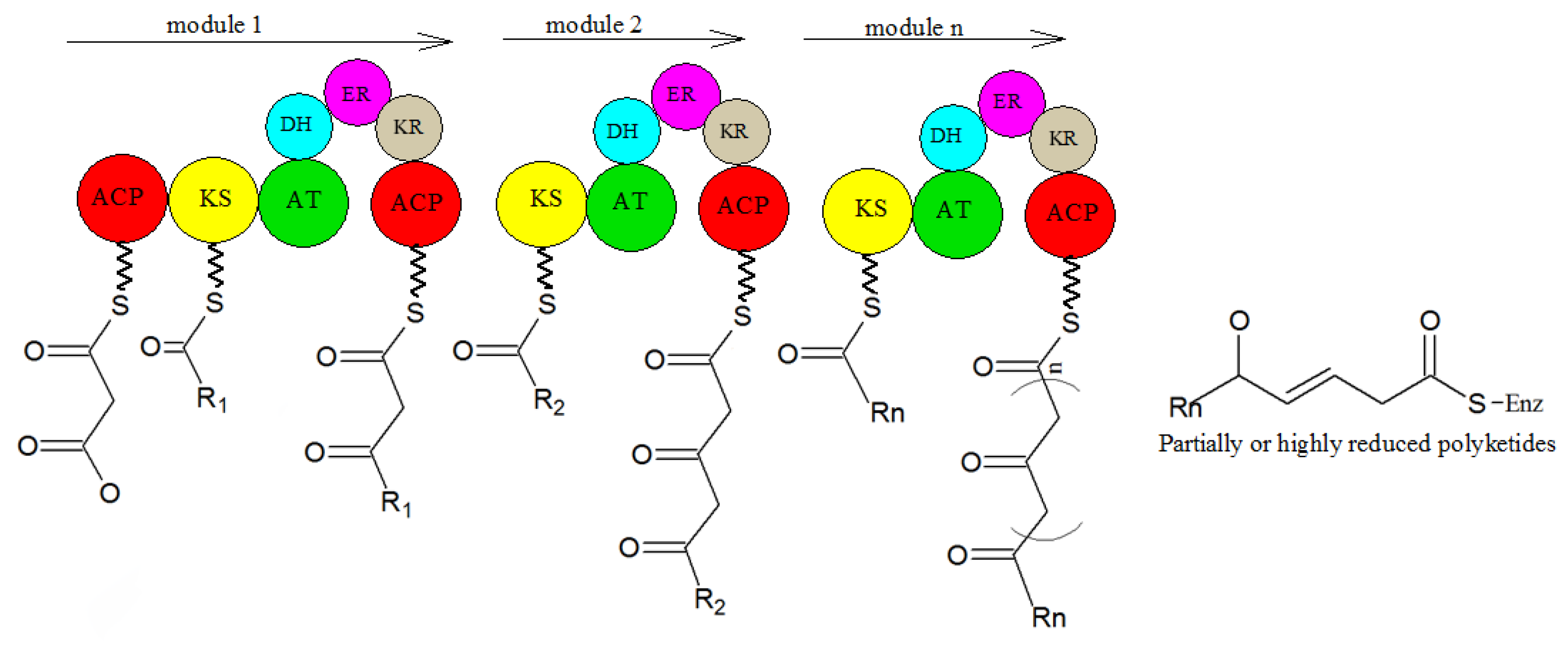 Molecules 27 00018 g012