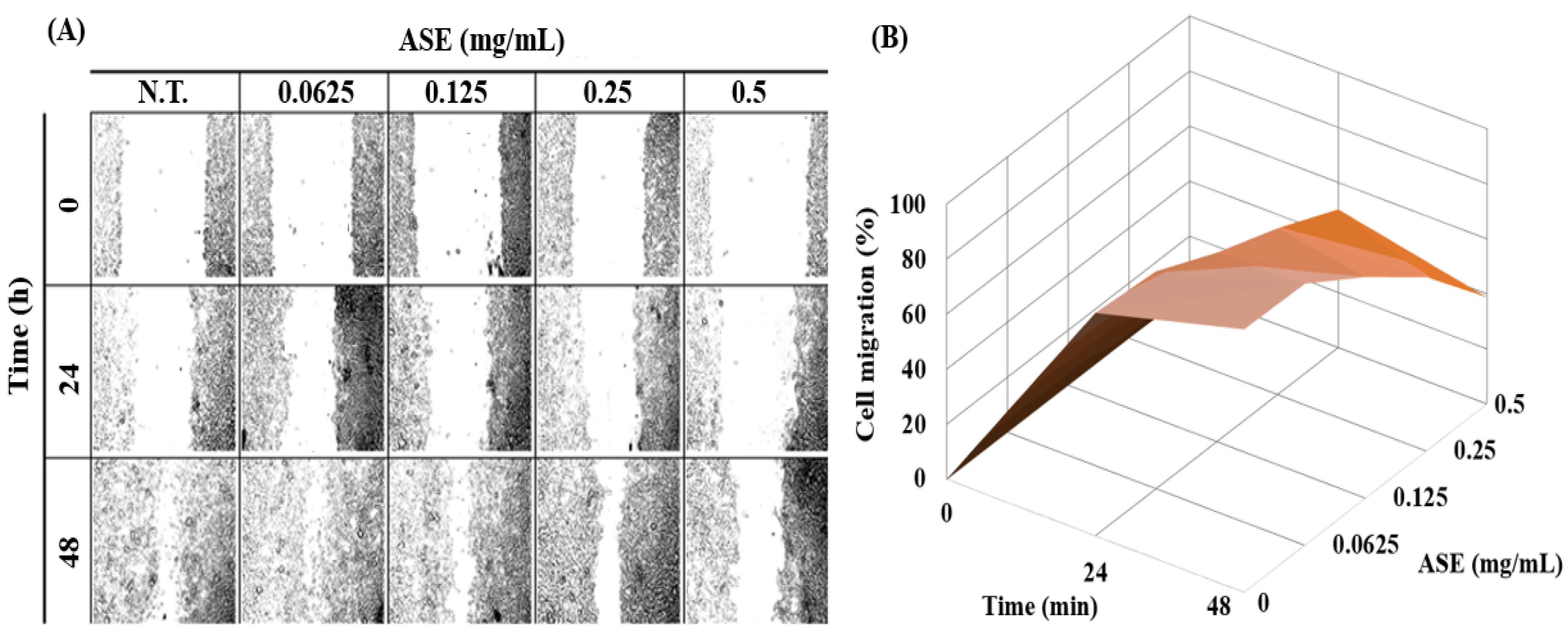 Molecules 27 00021 g002