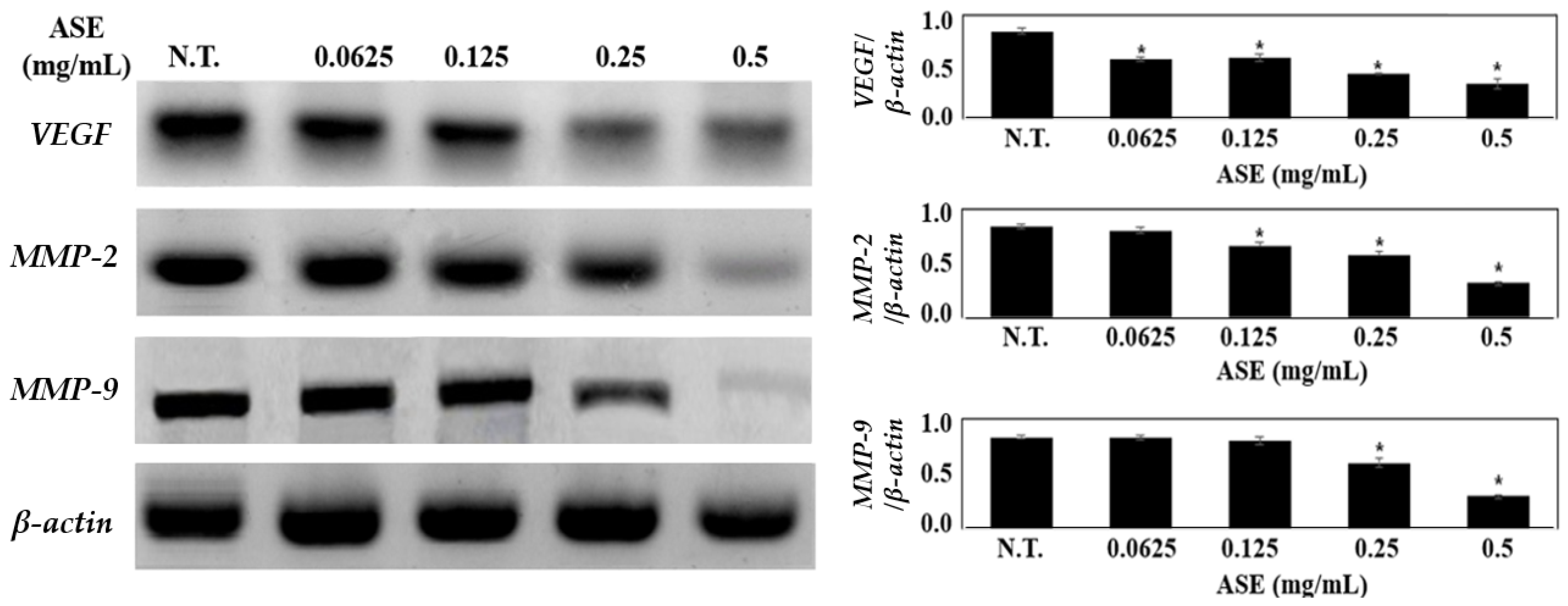 Molecules 27 00021 g003