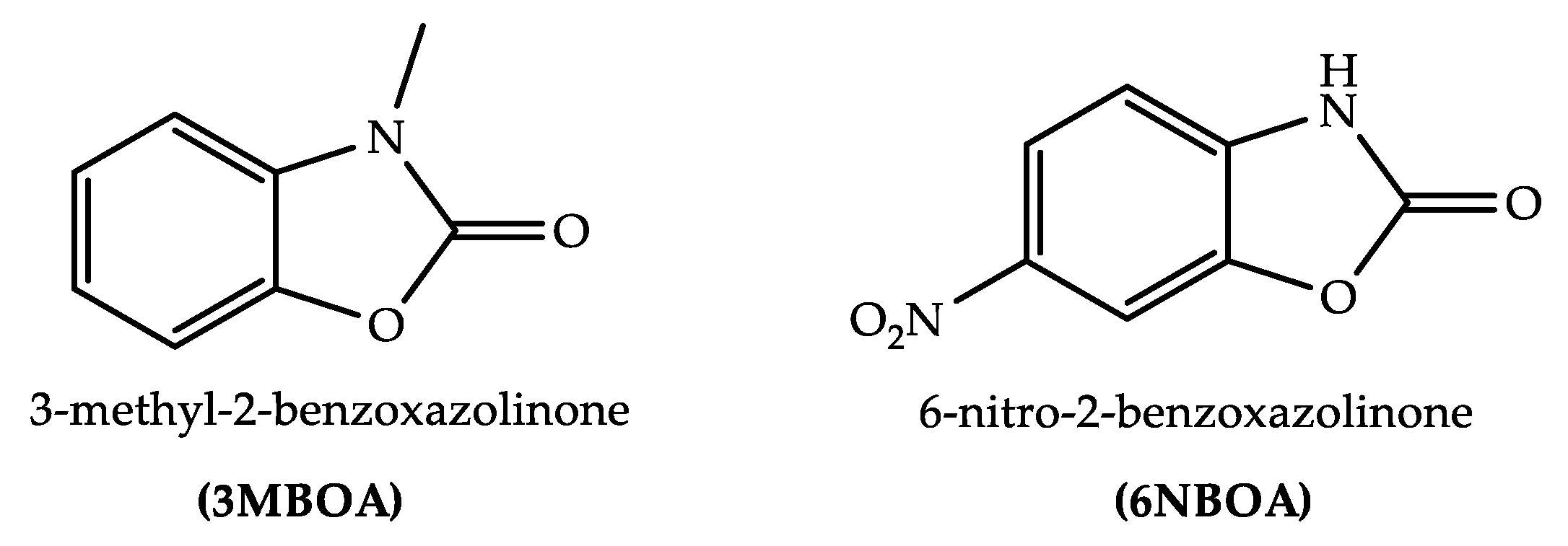Molecules 27 00024 g002