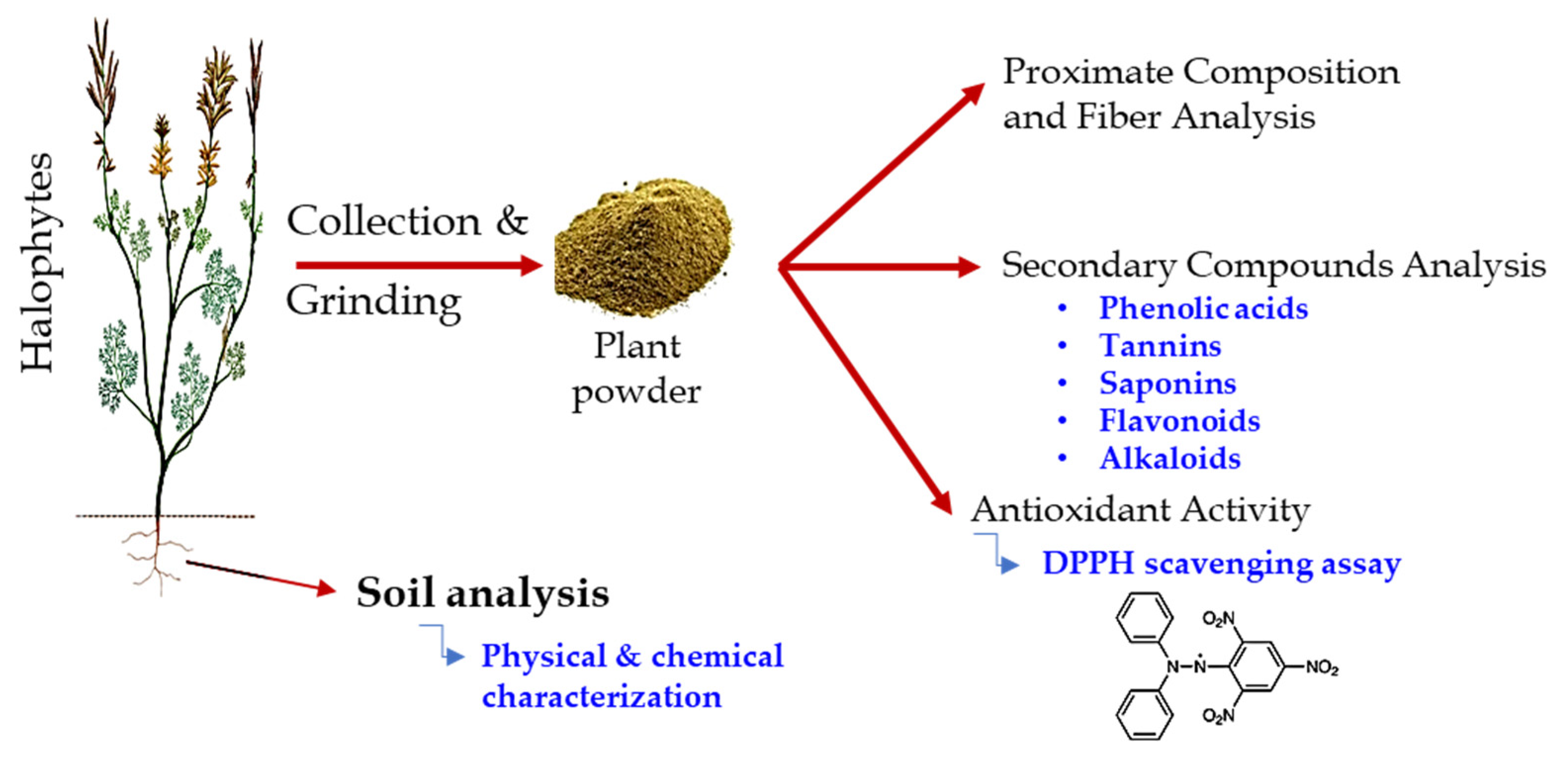 Molecules 27 00028 g003