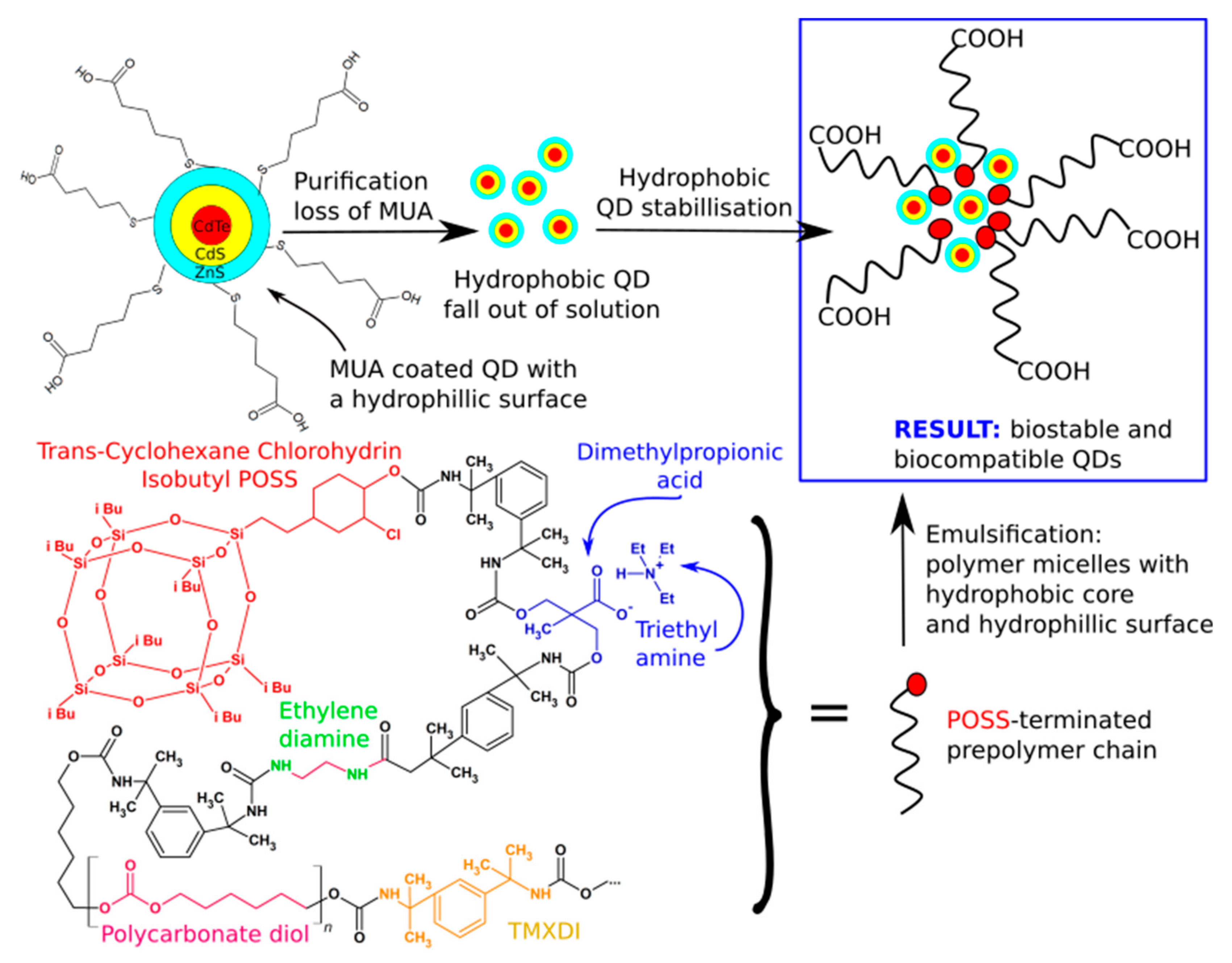 Molecules 27 00040 g005