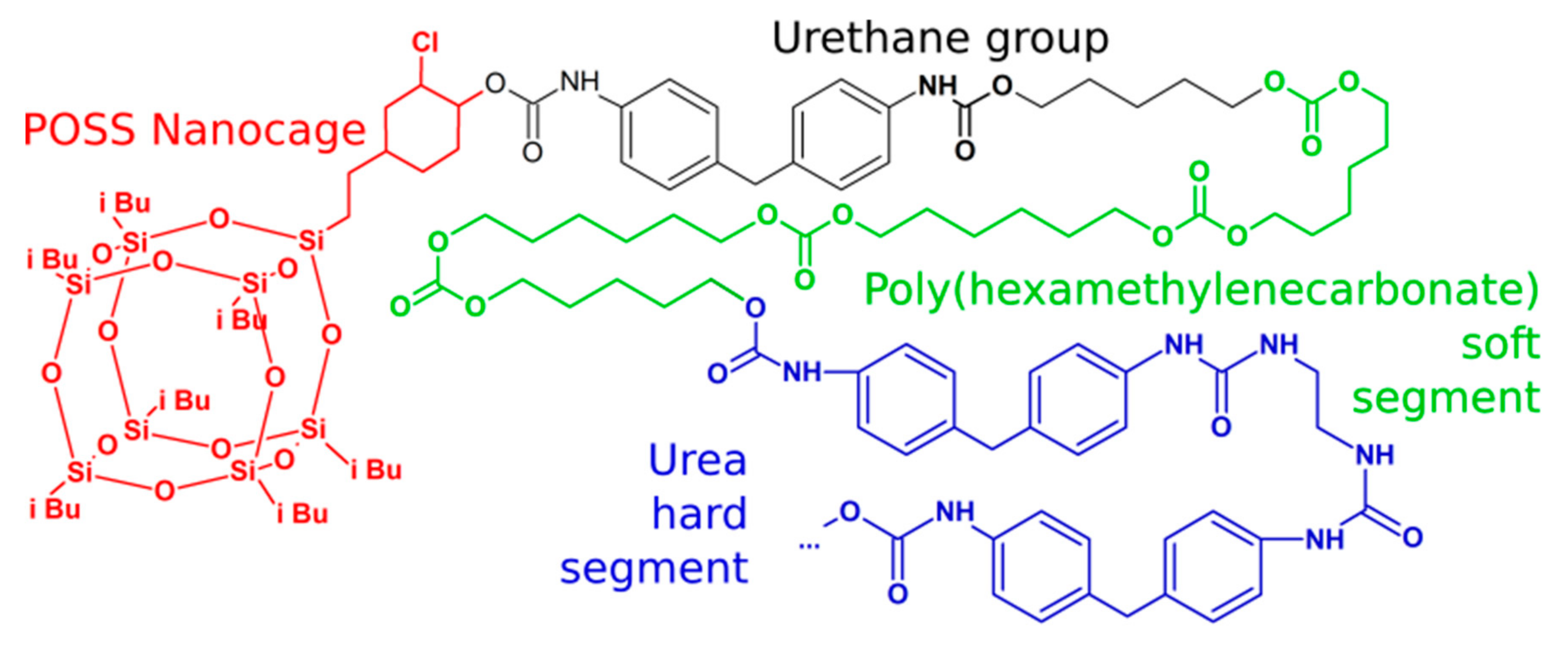 Molecules 27 00040 g006