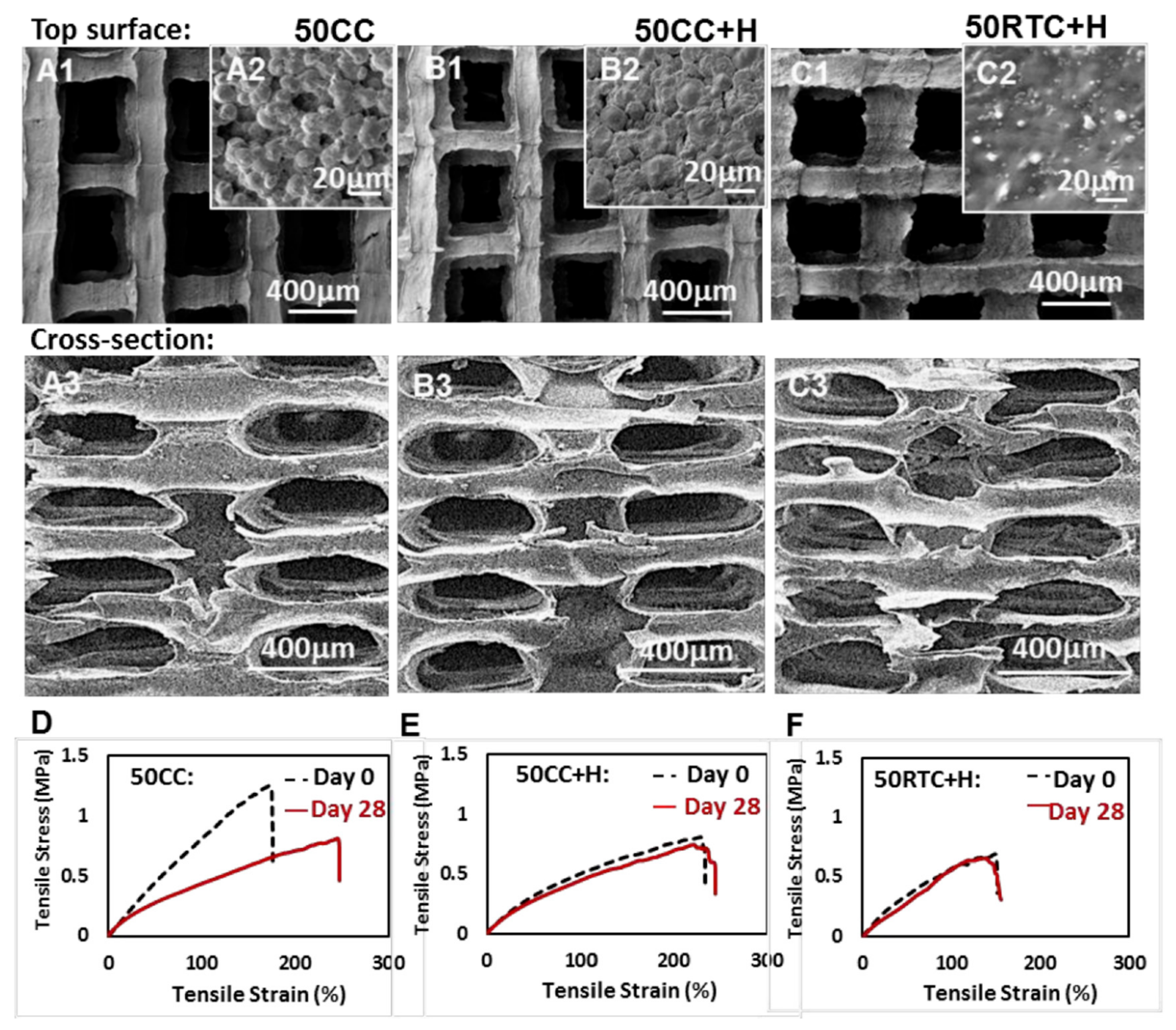 Molecules 27 00040 g007
