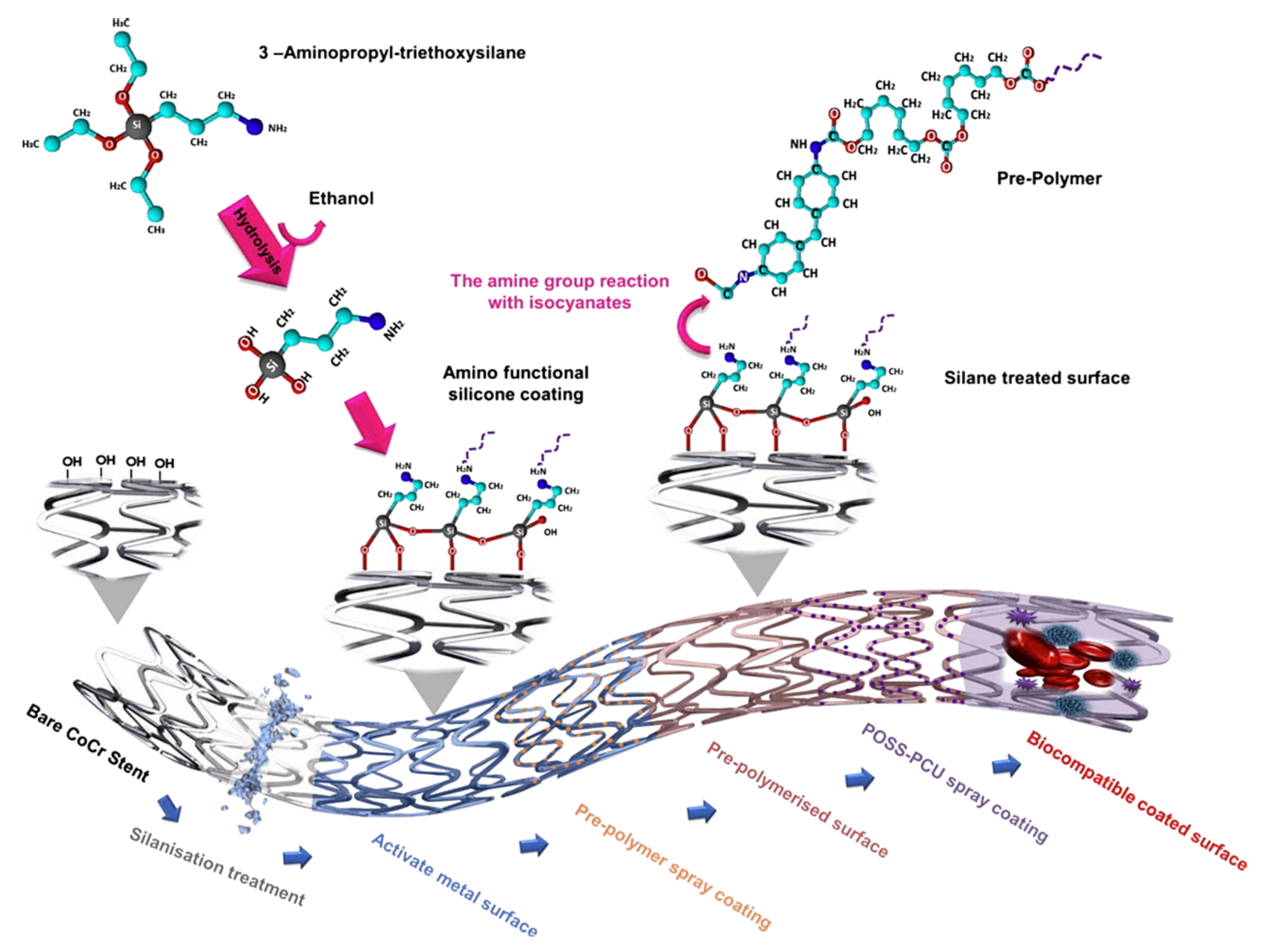 Molecules 27 00040 g008