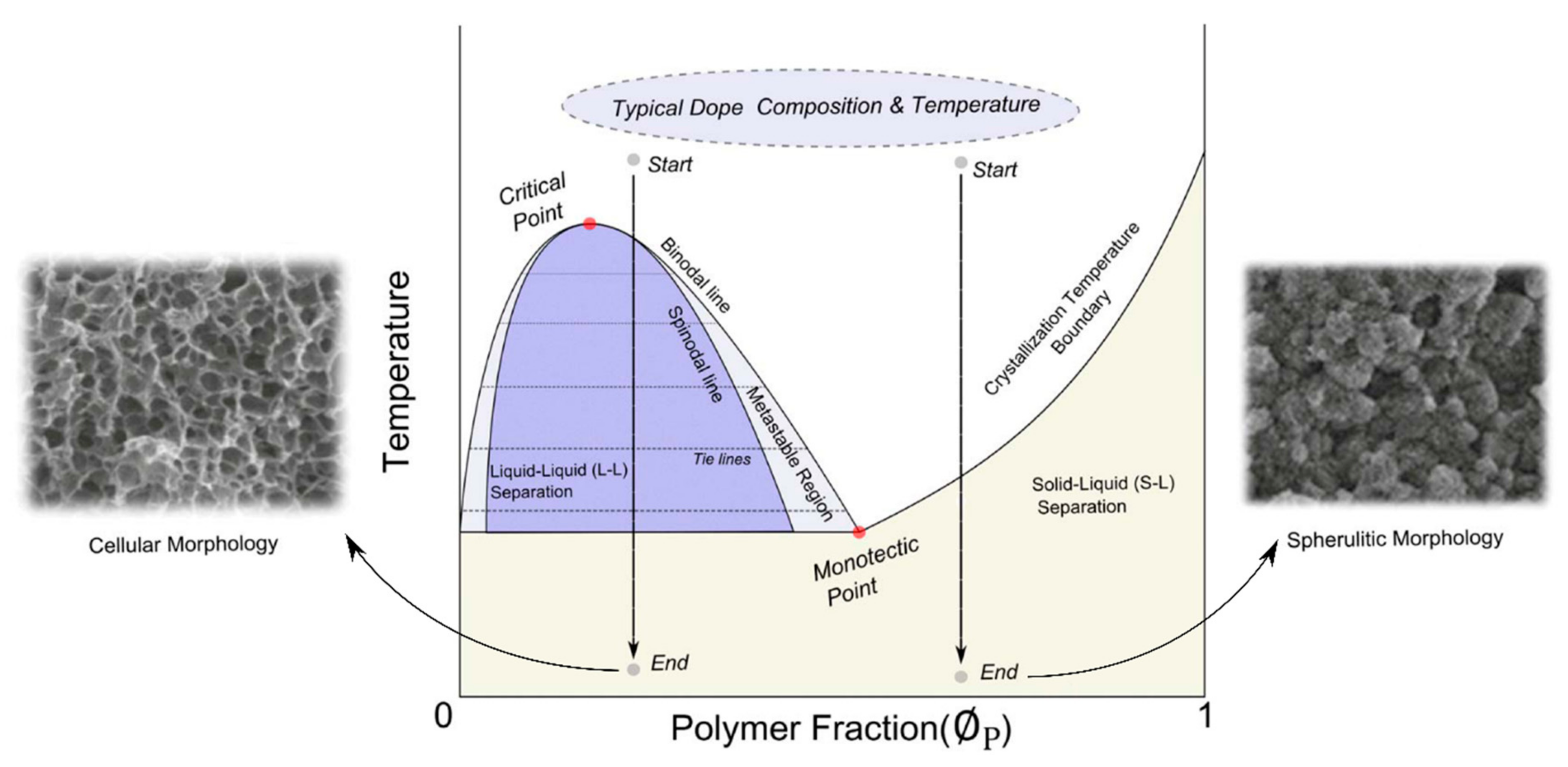 Molecules 27 00040 g010