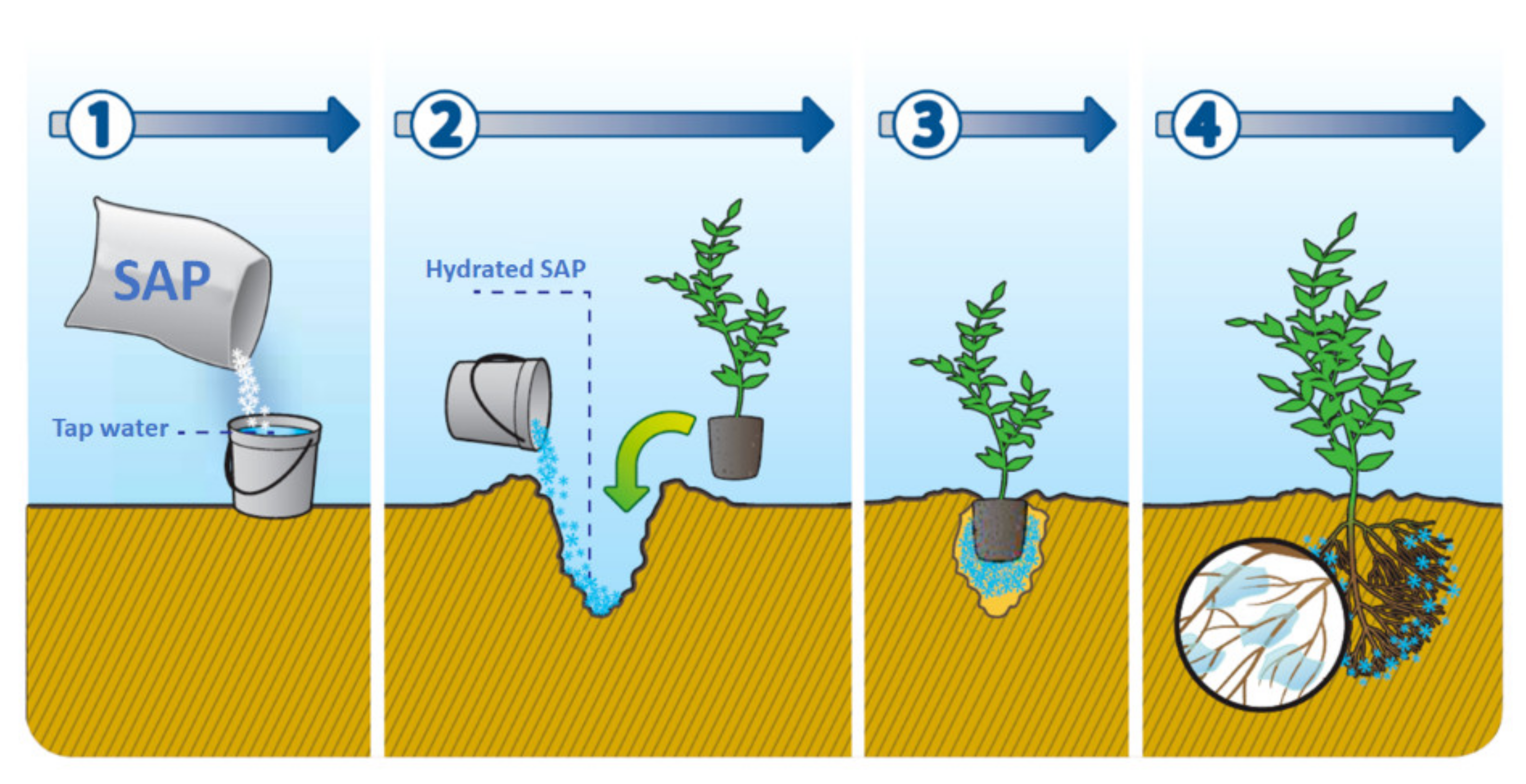 Molecules 27 00042 g002