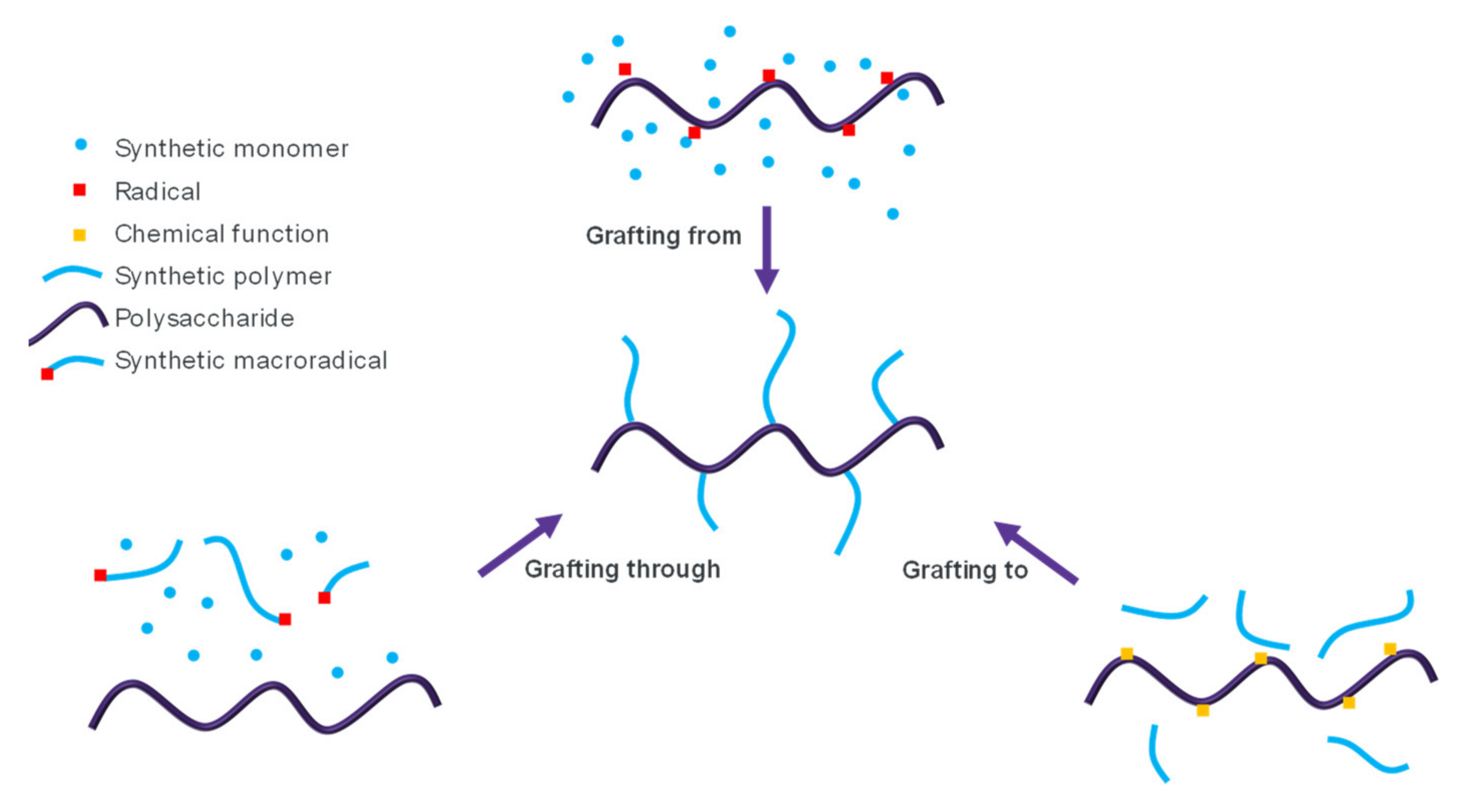 Molecules 27 00042 g003