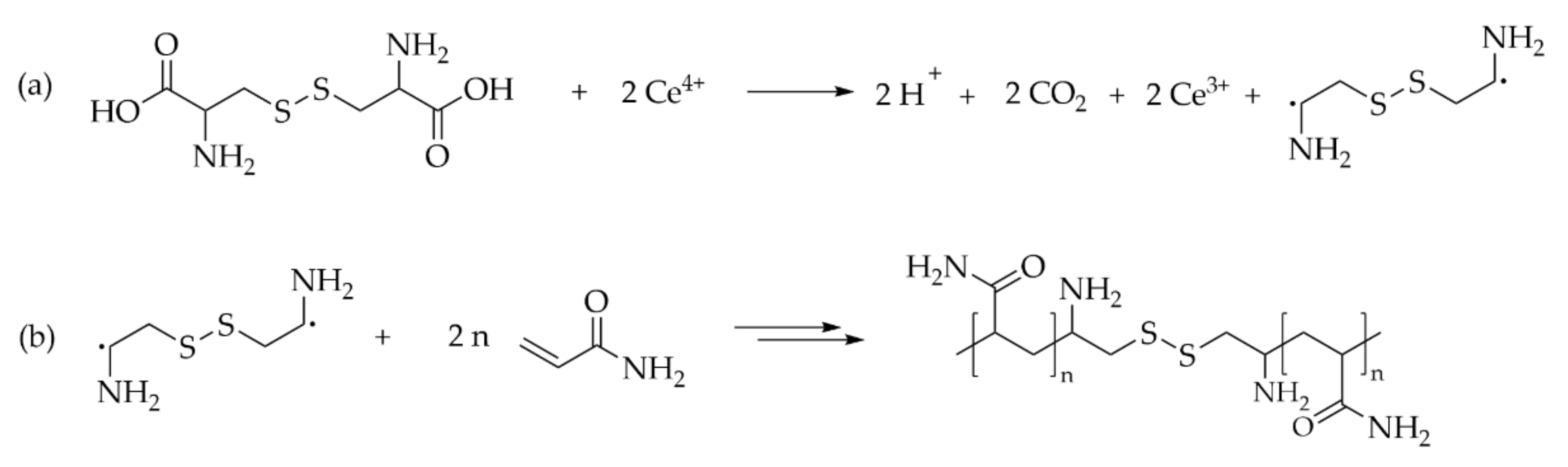 Molecules 27 00042 g005