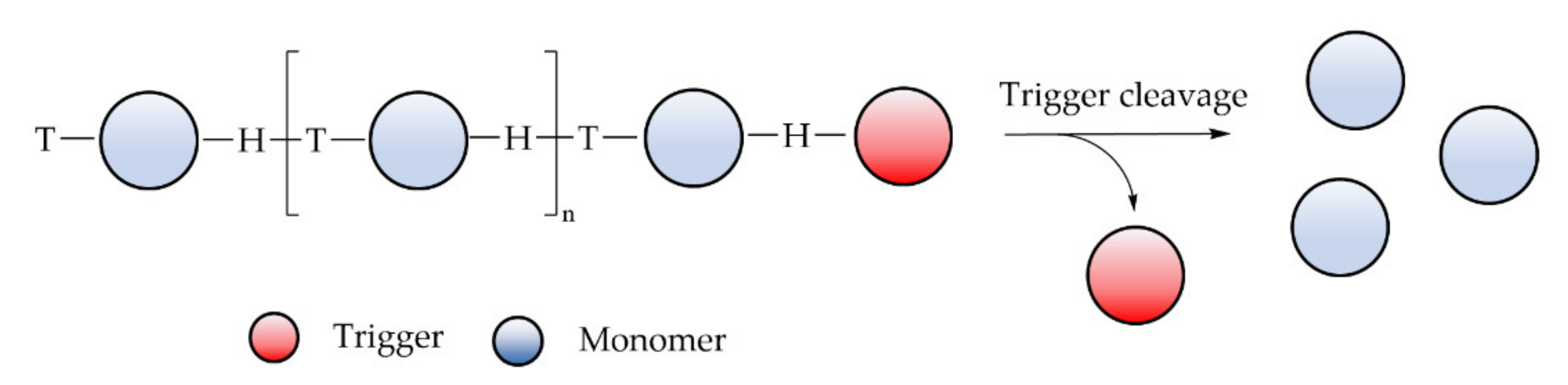 Molecules 27 00042 g009