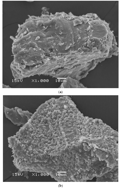 Molecules 27 00043 g003
