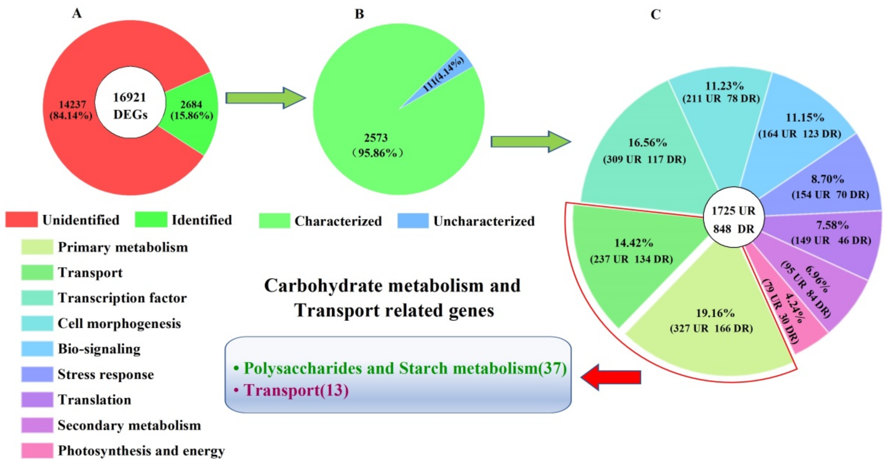 Molecules 27 00044 g007