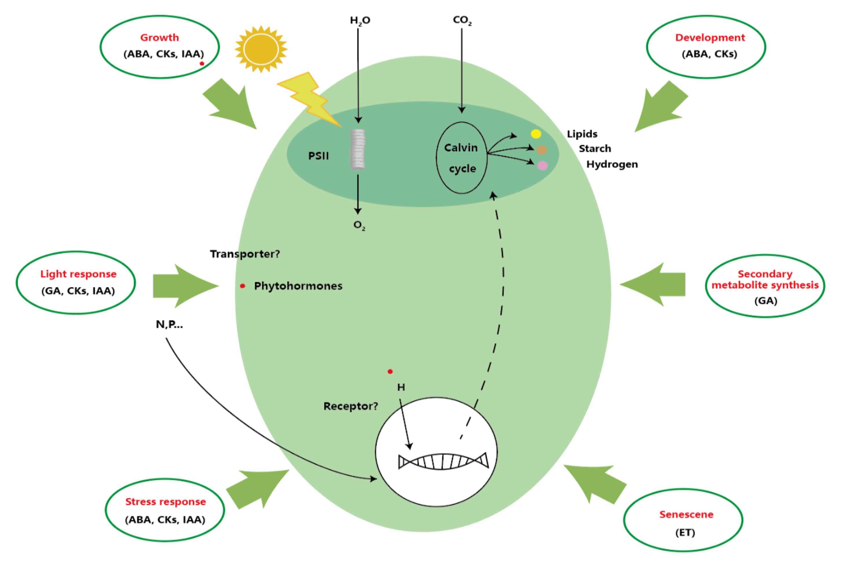 Molecules 27 00046 g002