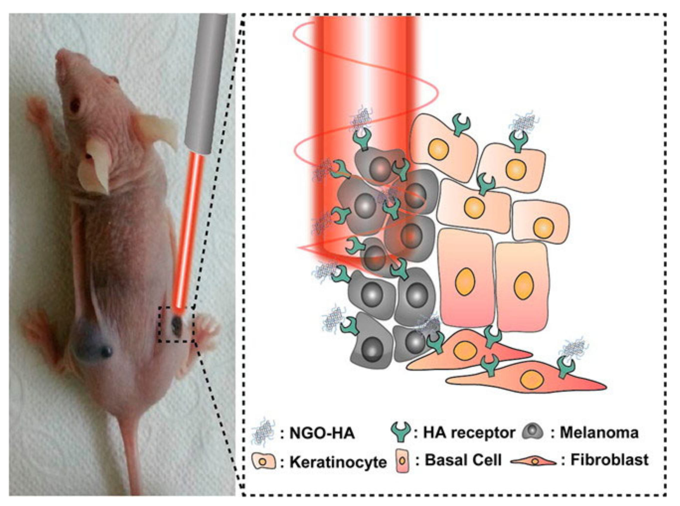 Molecules 27 00048 g003