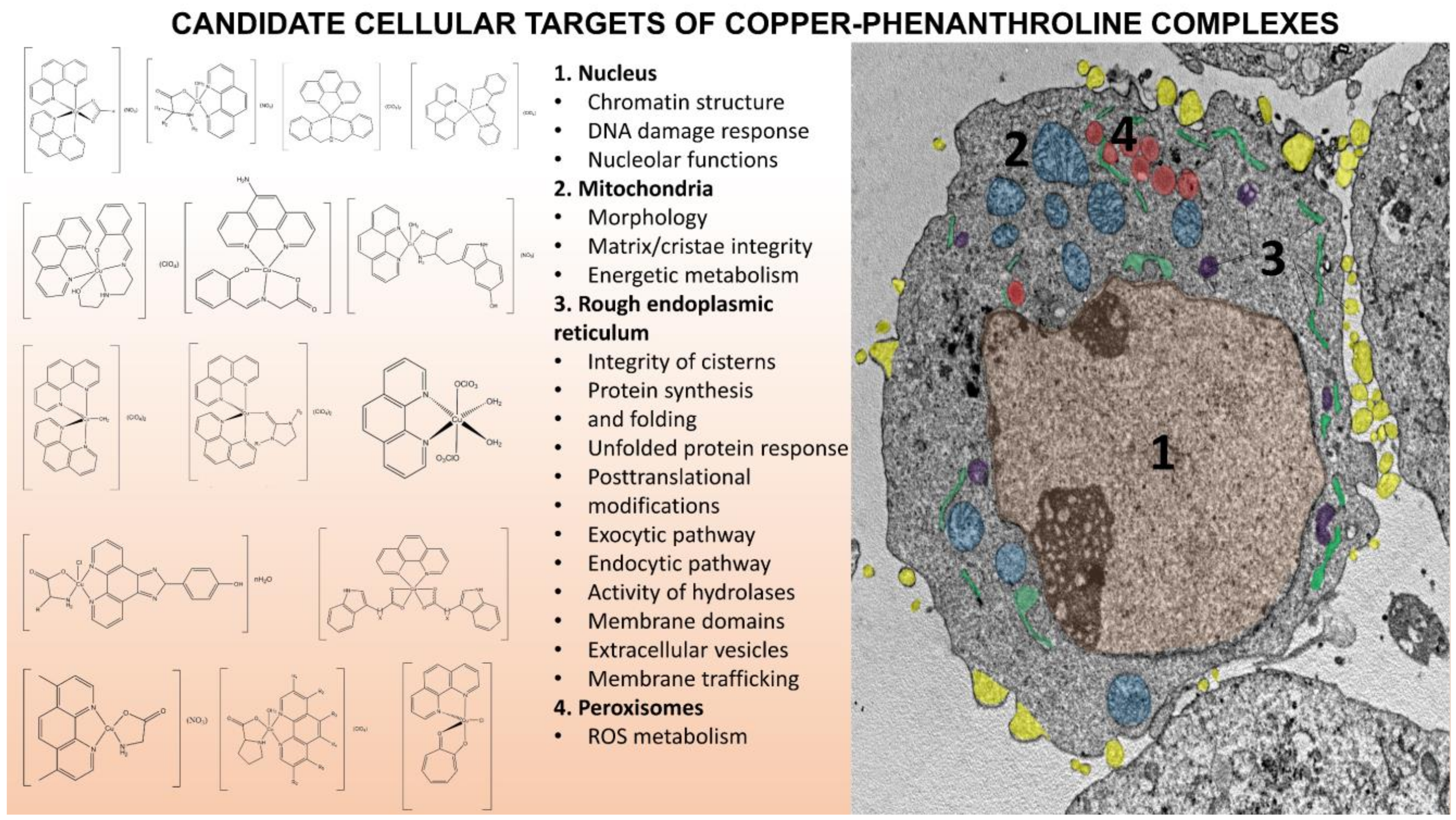 Molecules 27 00049 g029 Molecules 27 00049 g029