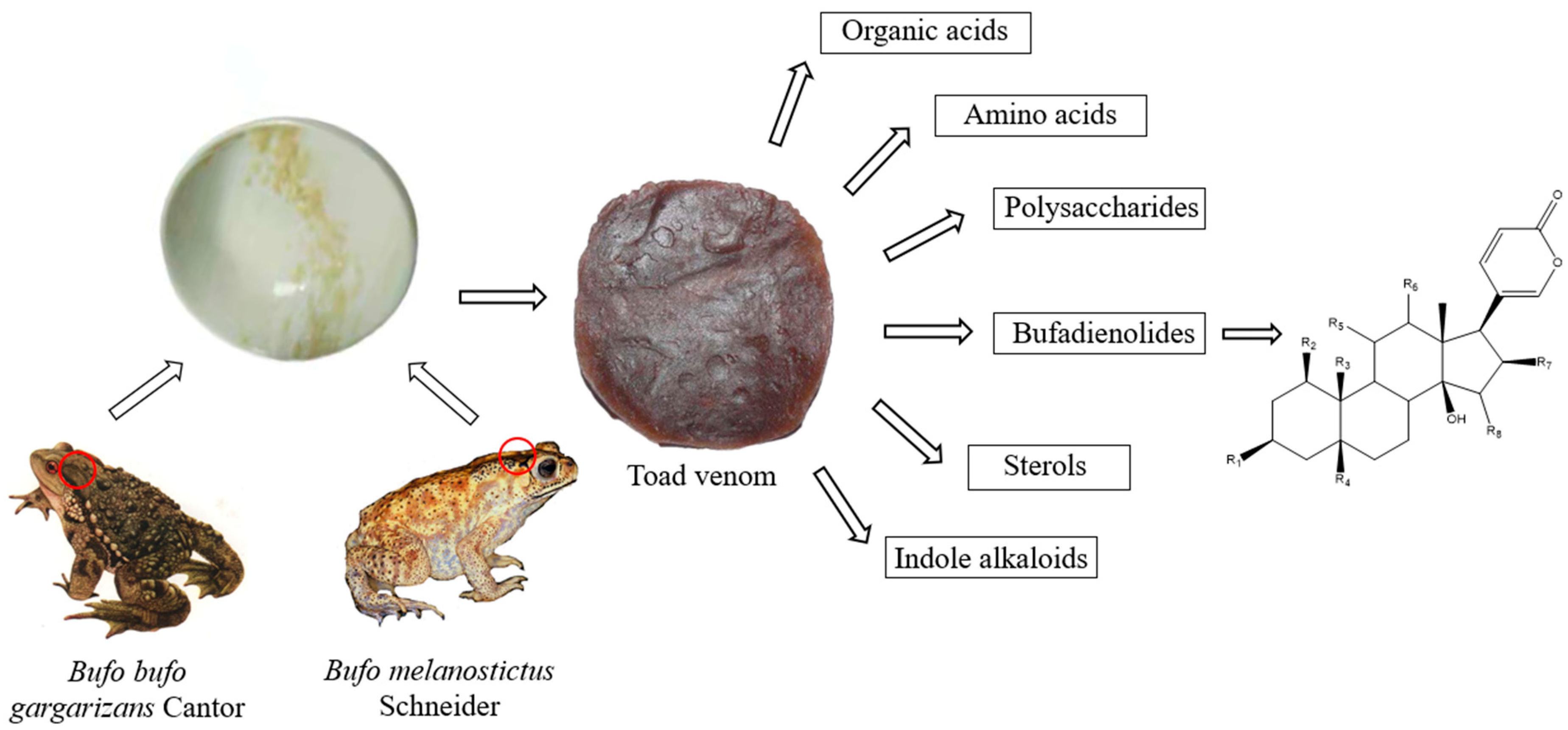 Molecules 27 00051 g001