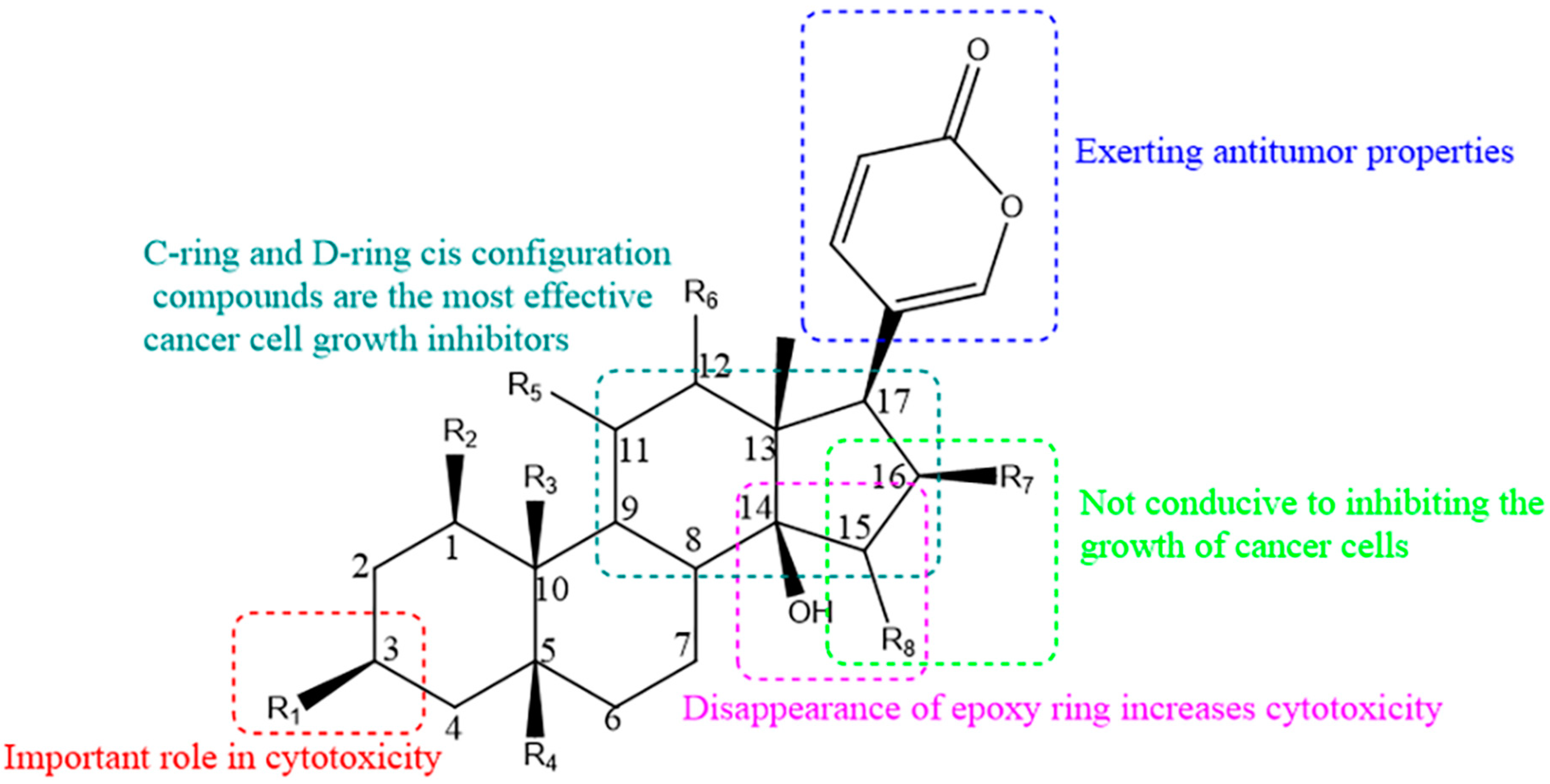 Molecules 27 00051 g003