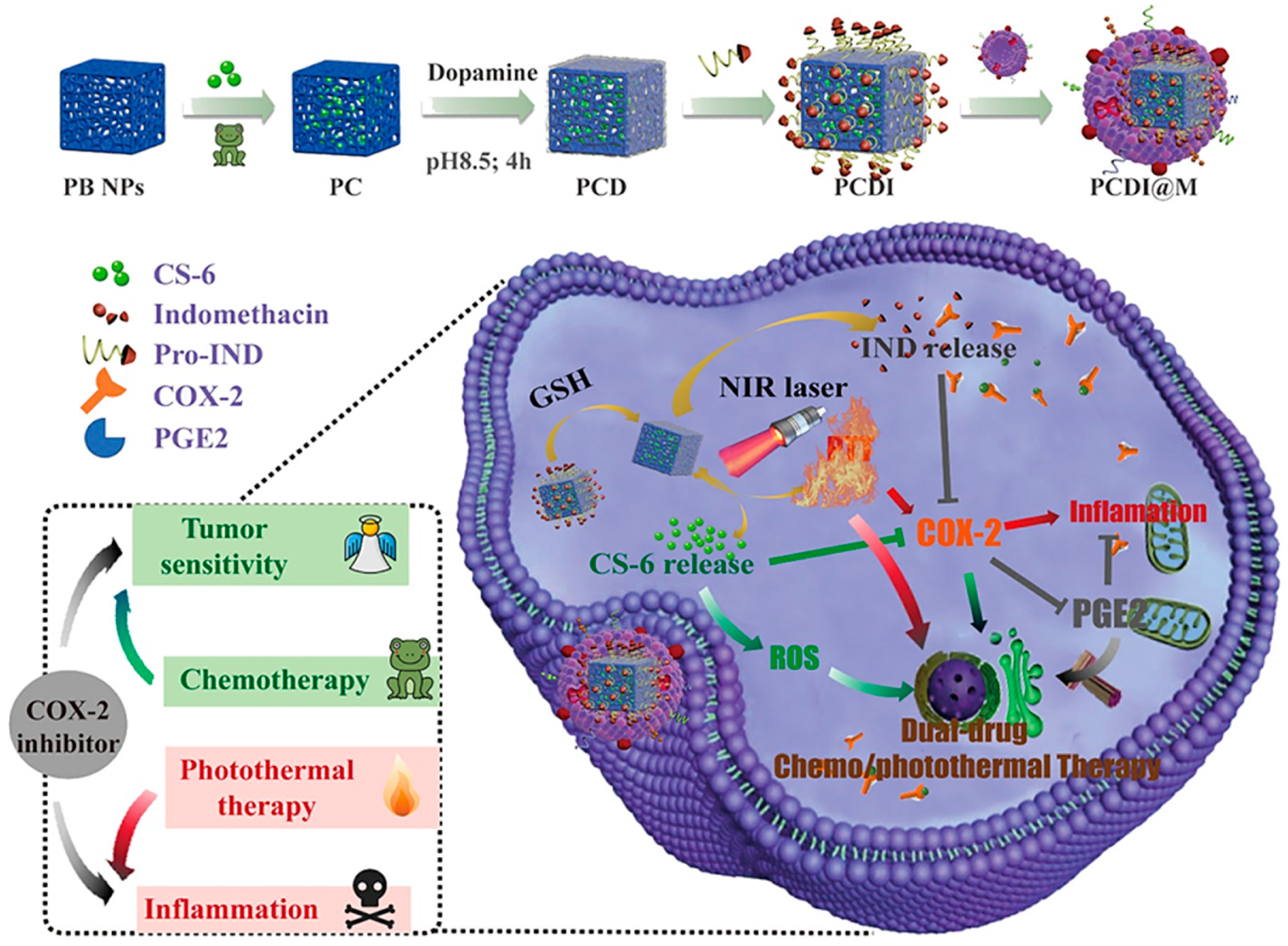 Molecules 27 00051 g010