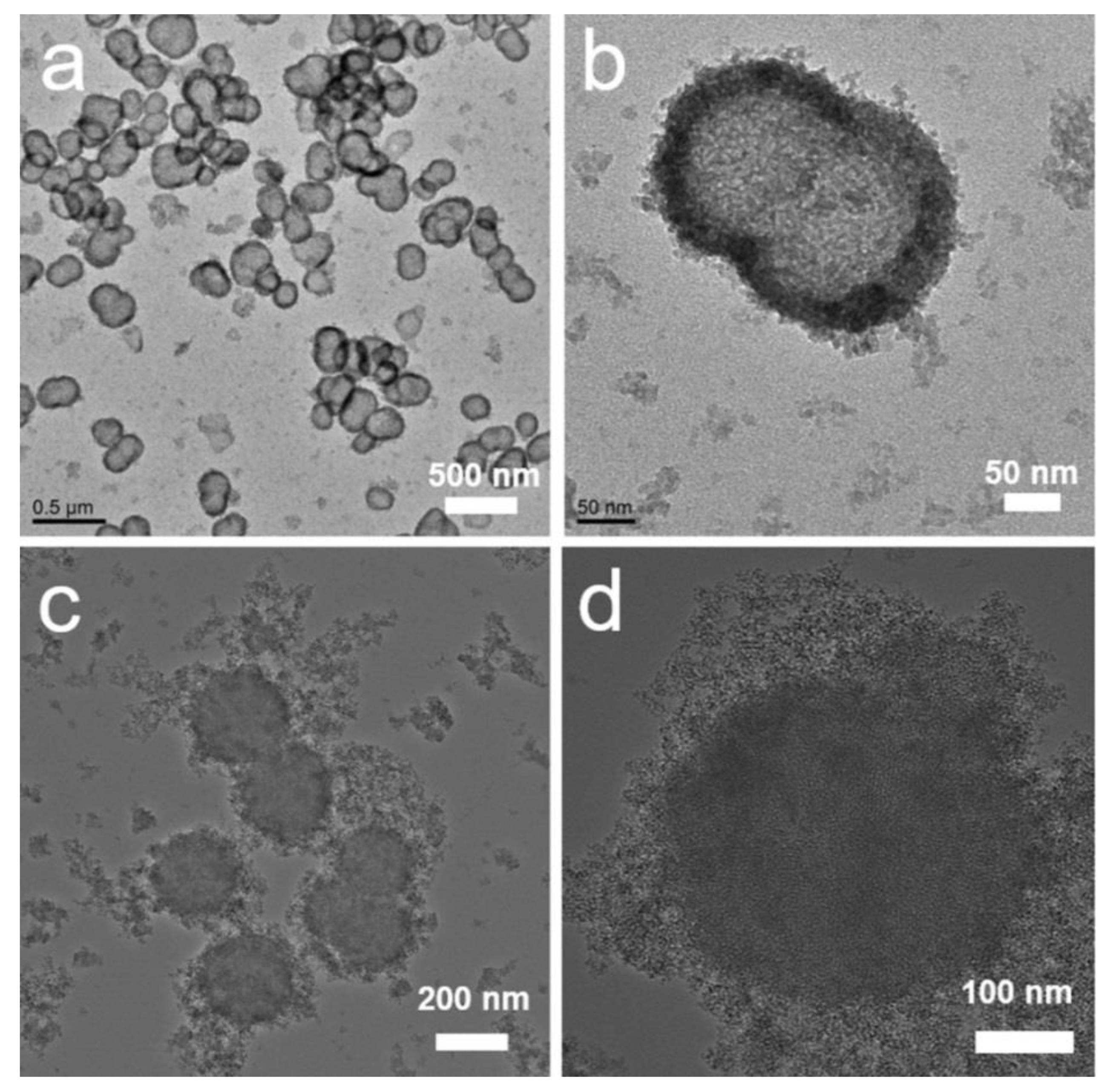 Molecules 27 00053 g001