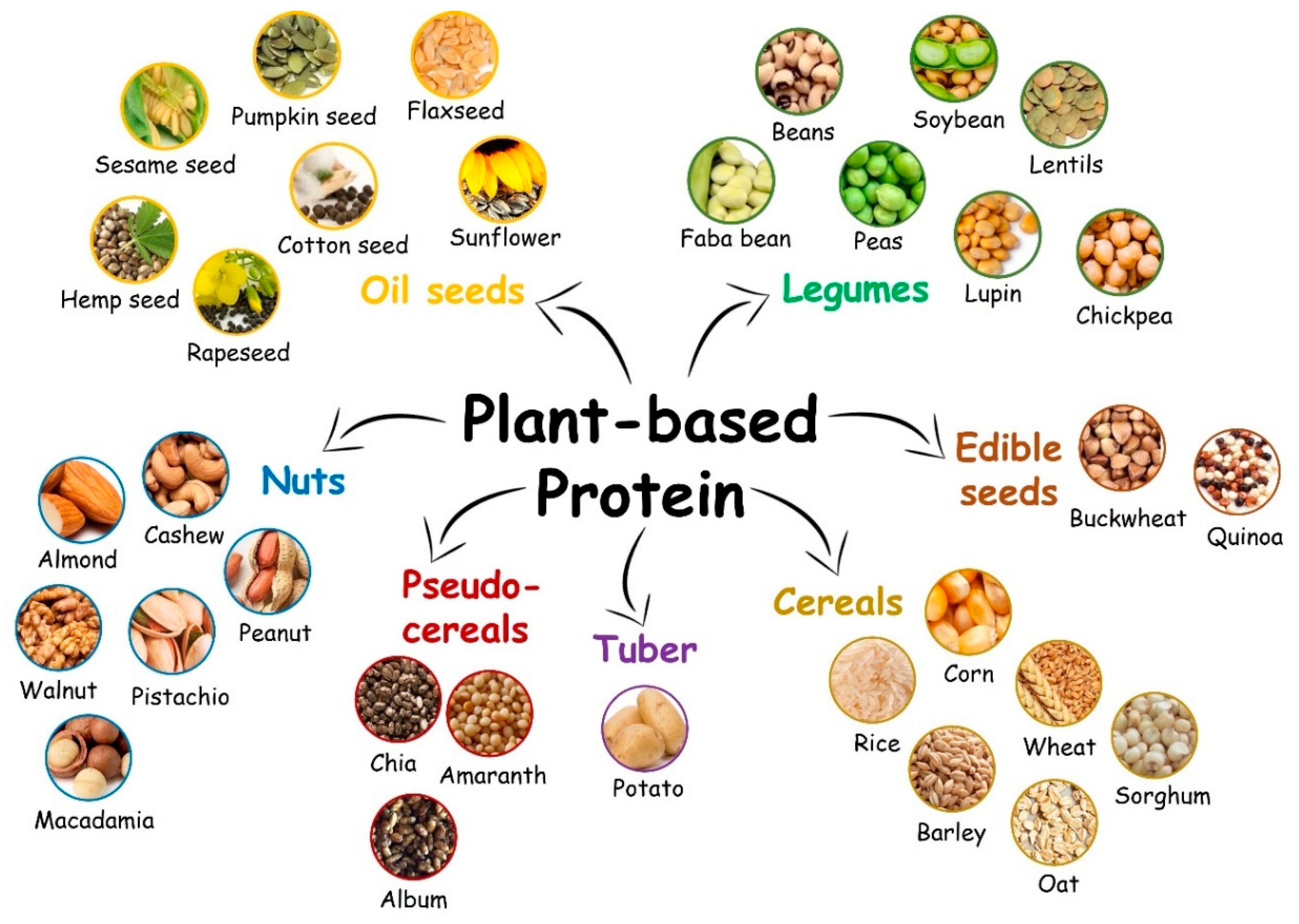 Molecules 27 00060 g001