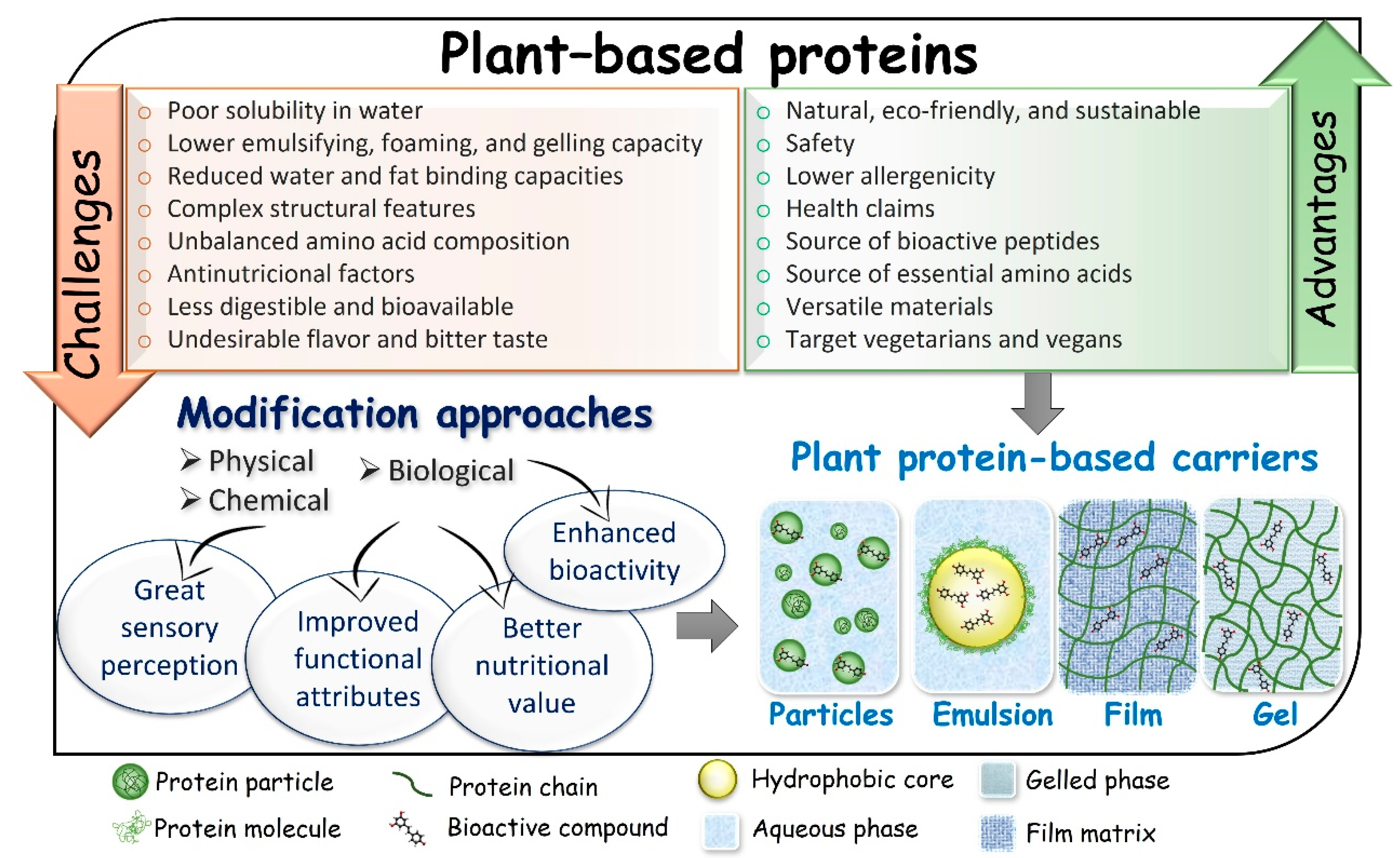 Molecules 27 00060 g002