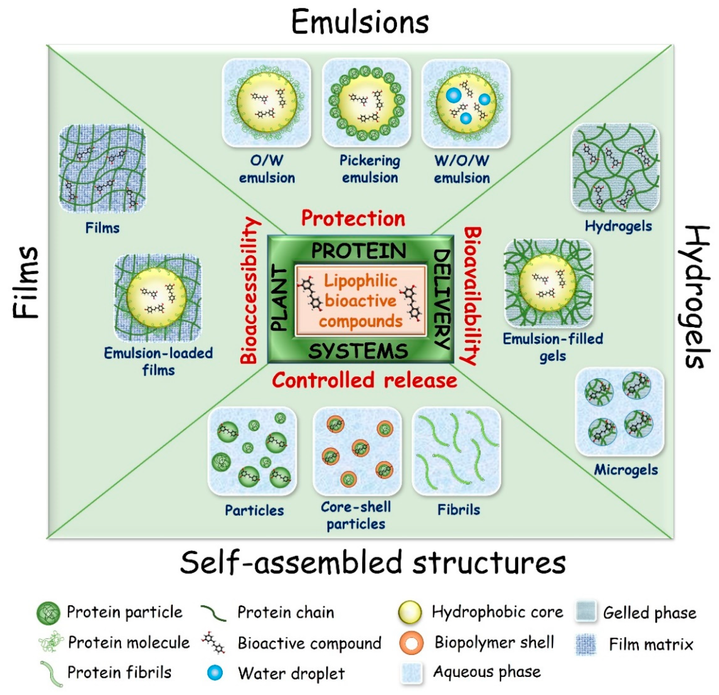 Molecules 27 00060 g003