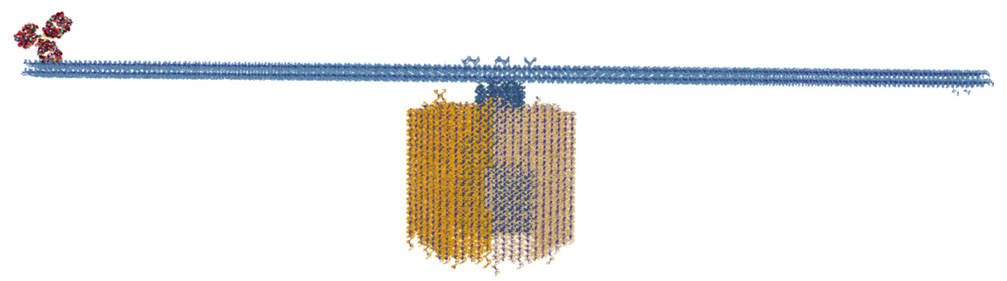 Molecules 27 00063 g008