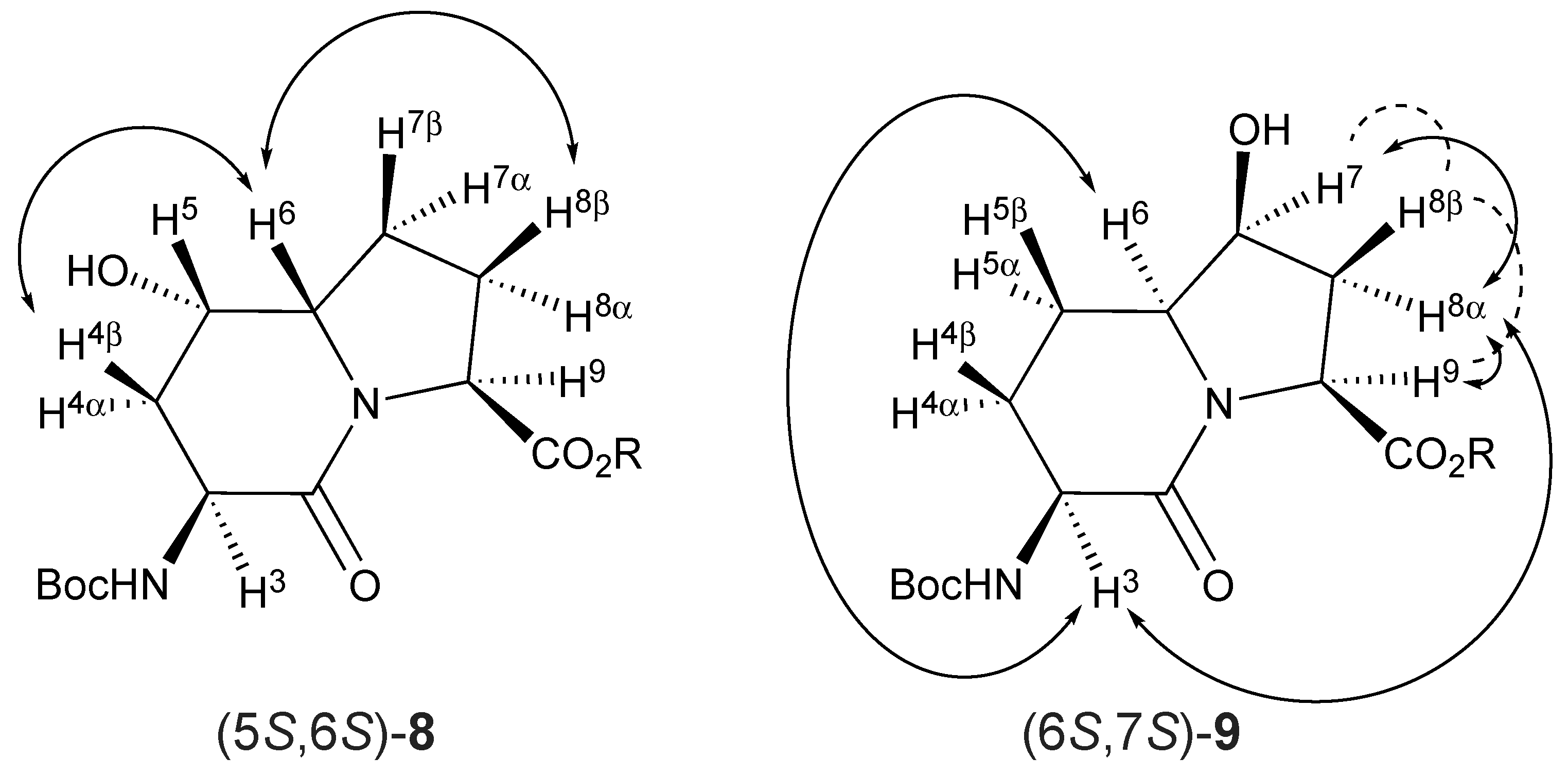 Molecules 27 00067 g002