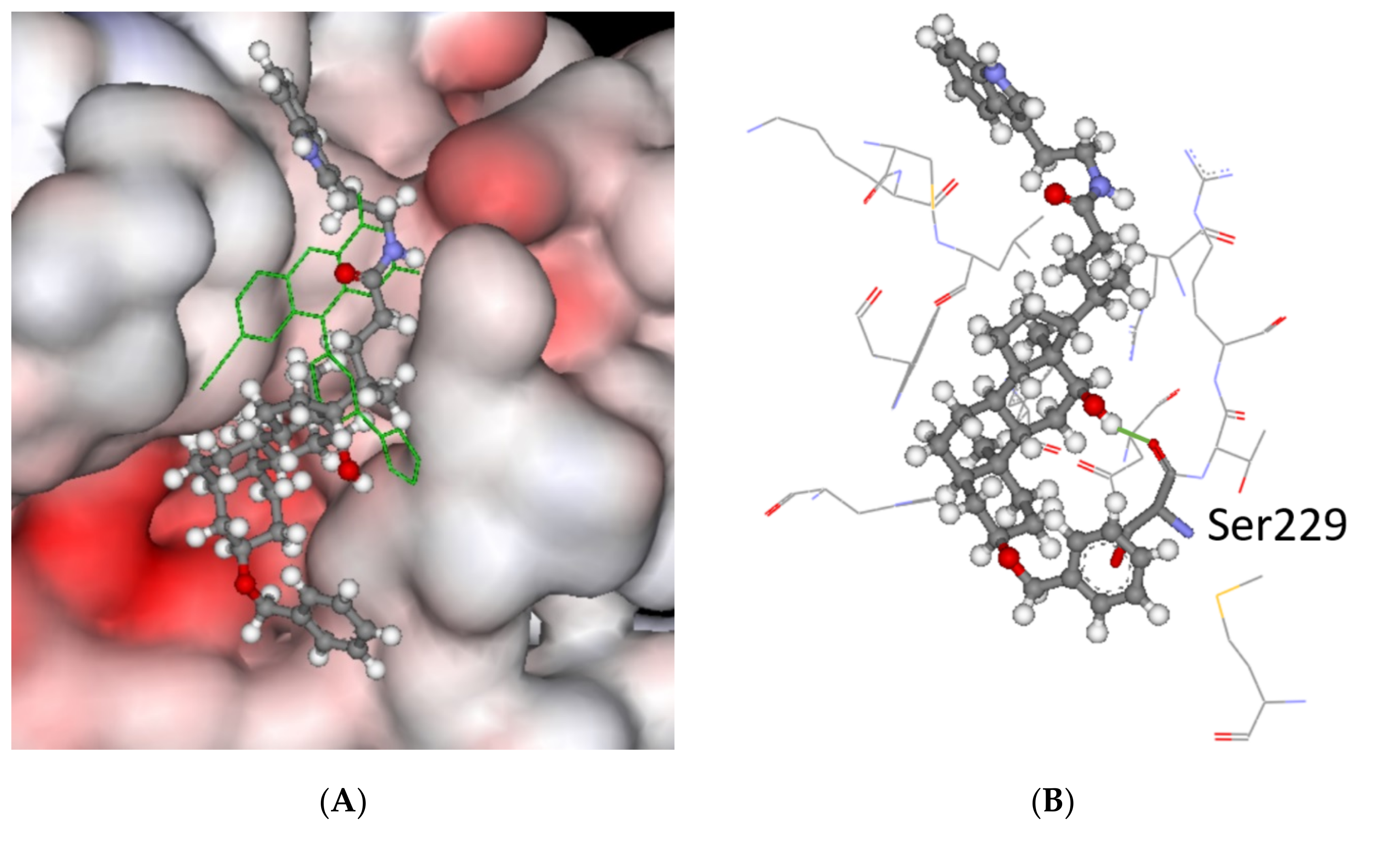 Molecules 27 00072 g005