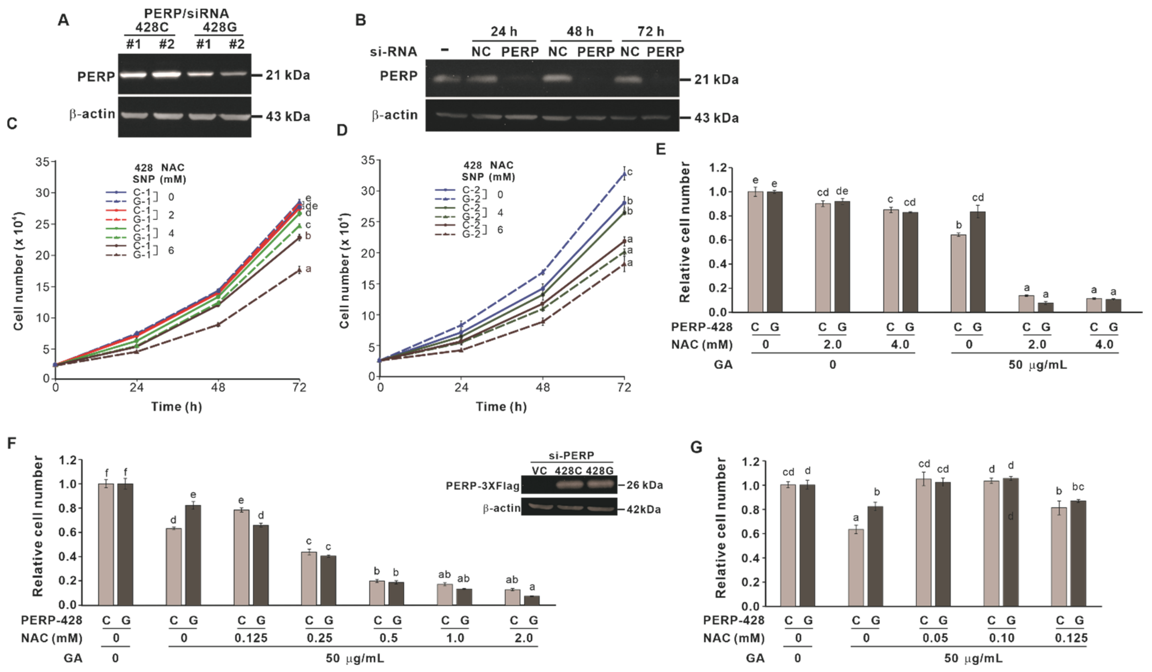 Molecules 27 00075 g004