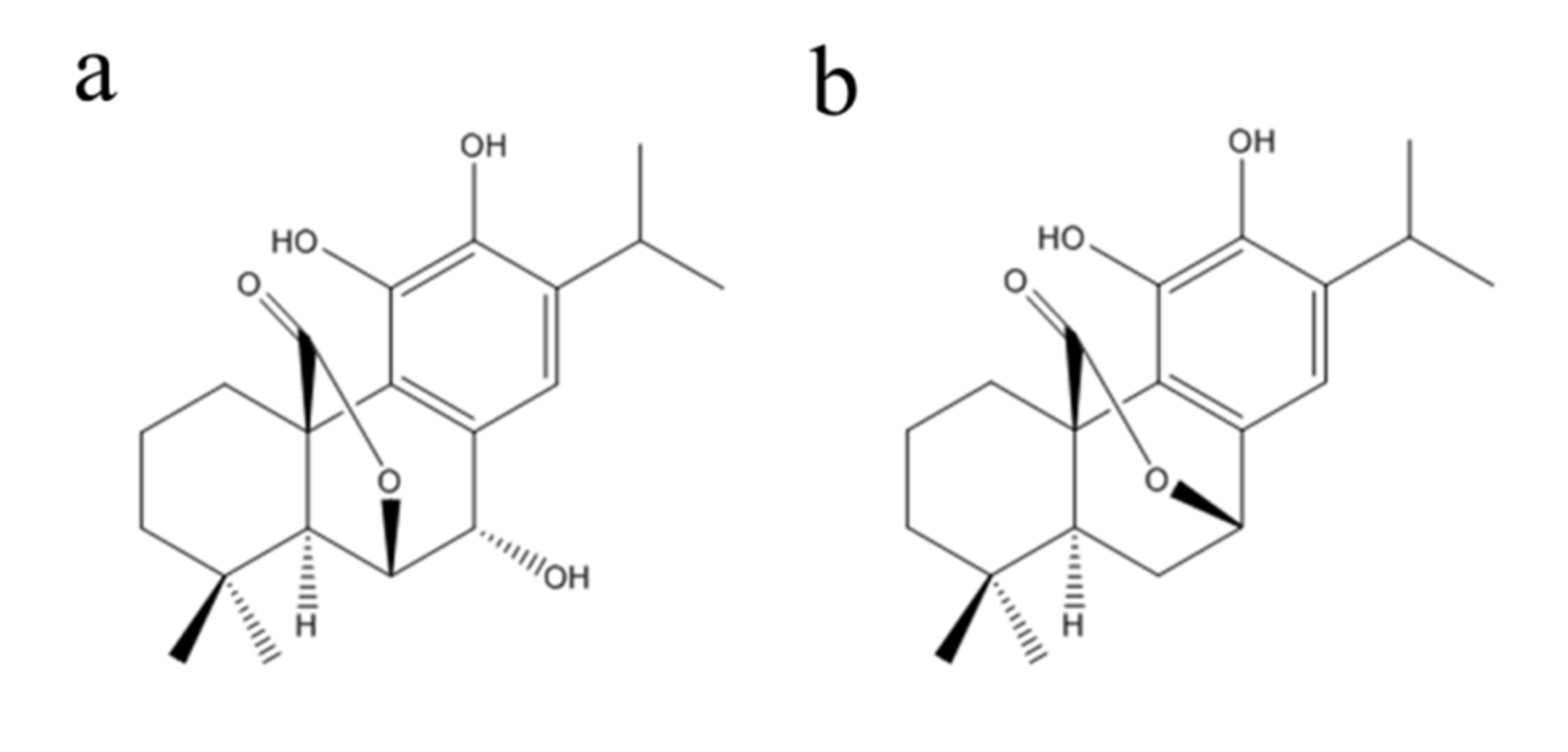 Molecules 27 00078 g001