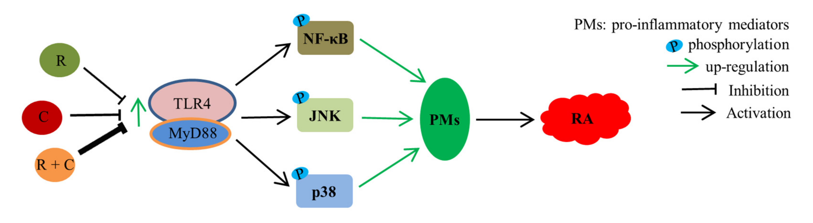 Molecules 27 00078 g008