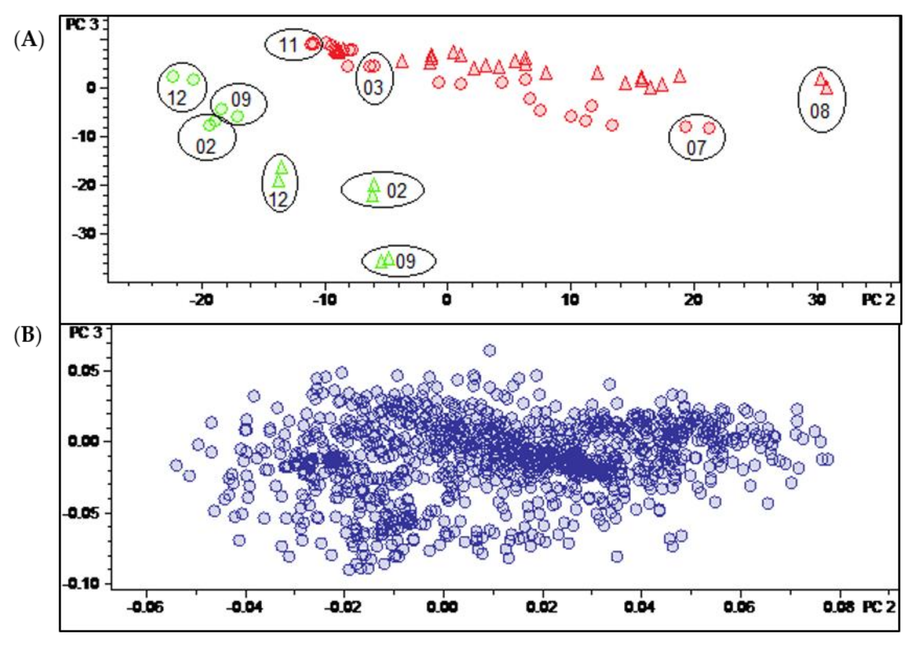 Molecules 27 00082 g006