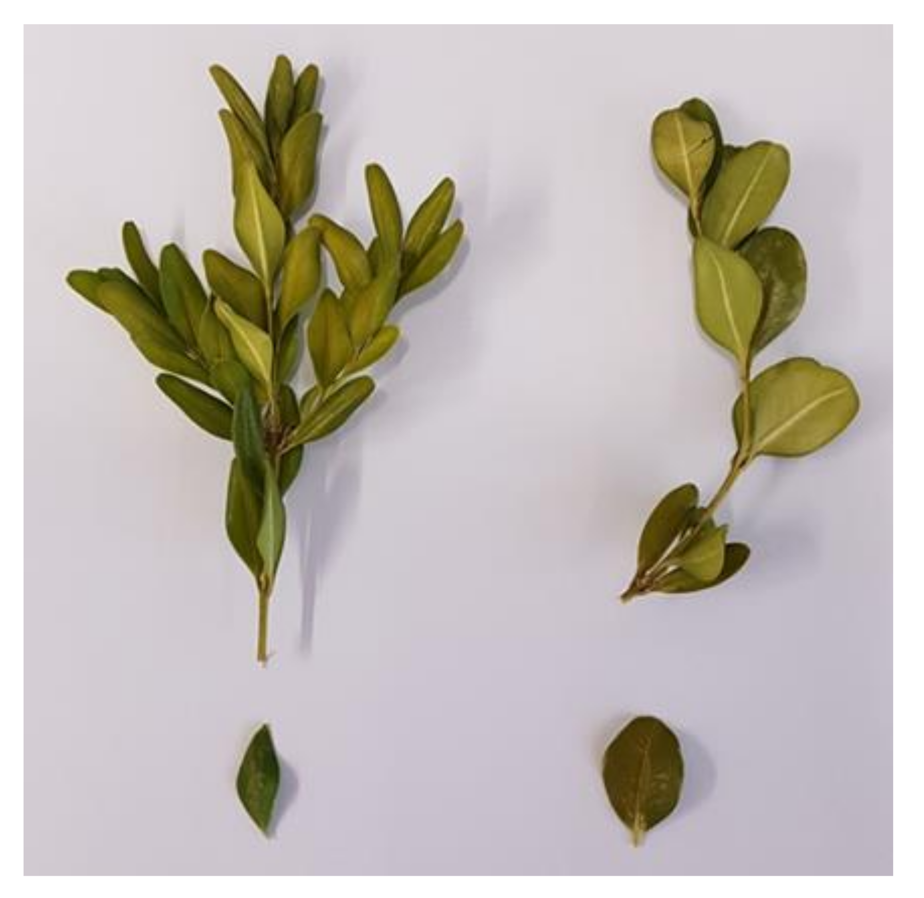 Molecules 27 00082 g010