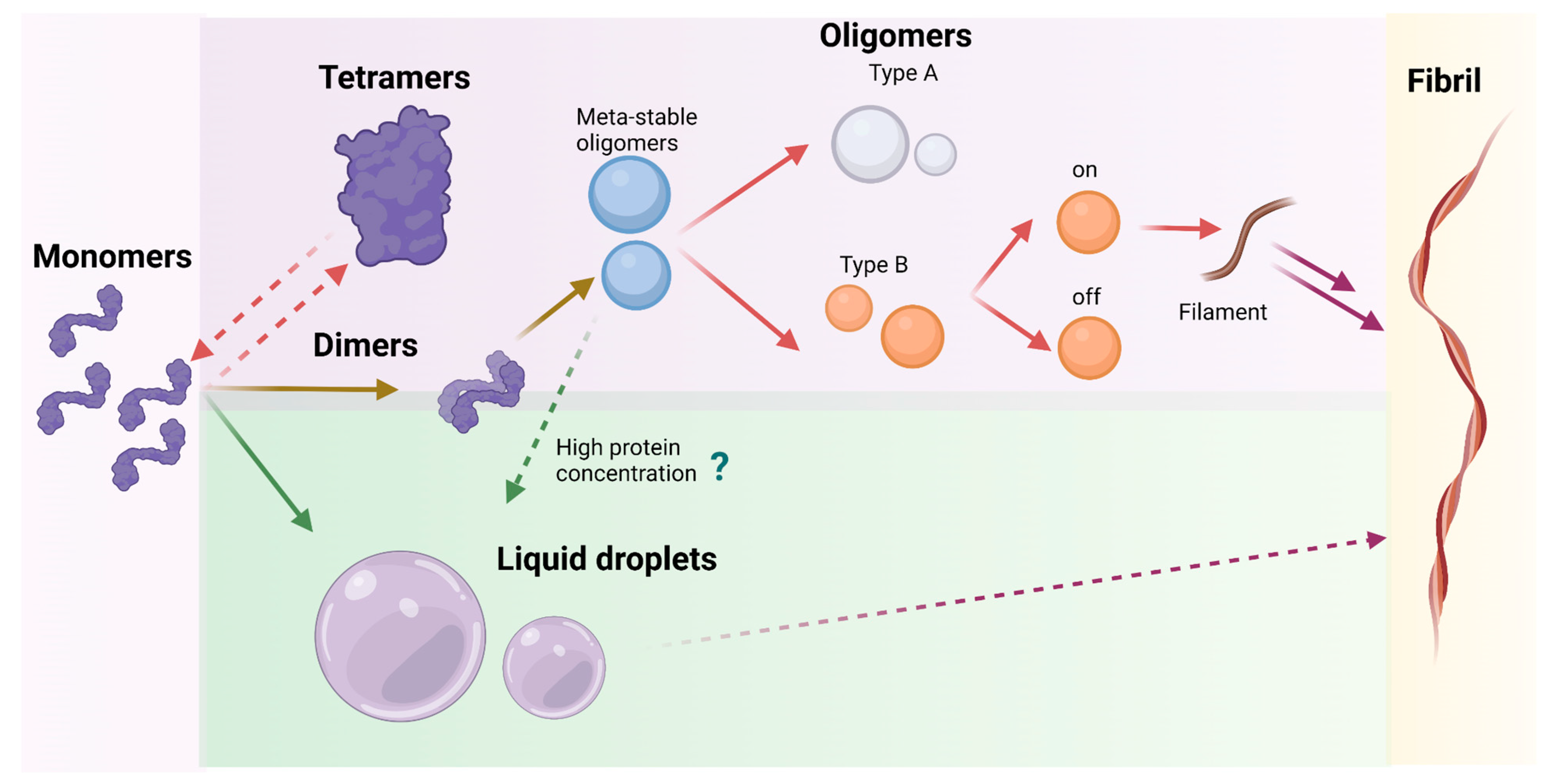 Molecules 27 00088 g002
